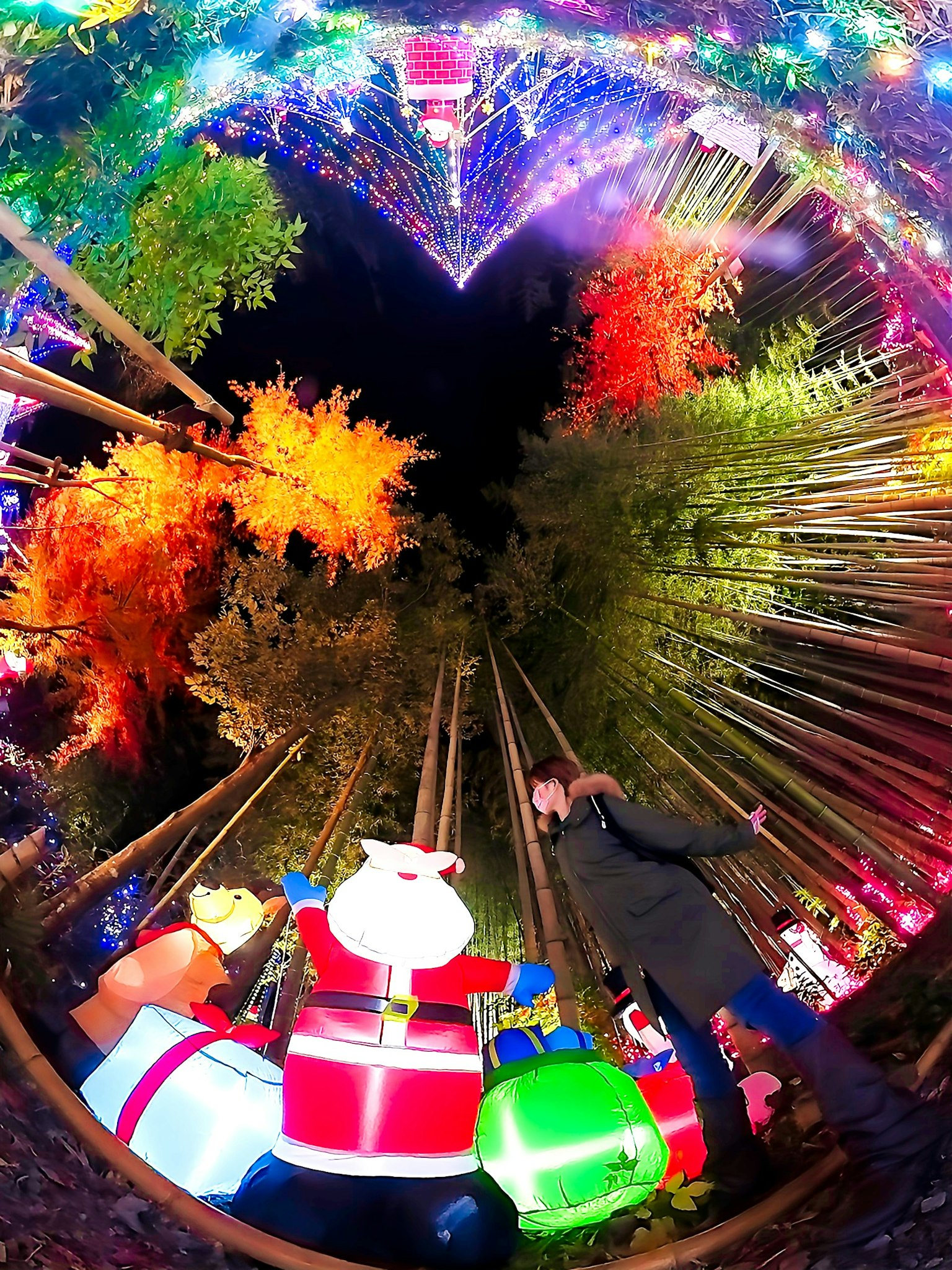 Night scene of a colorful illuminated forest featuring Santa decorations and vibrant trees
