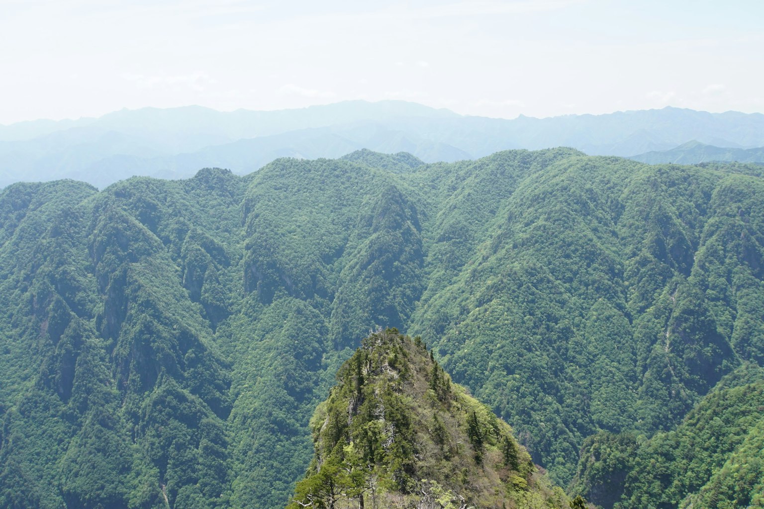 정상에서 바라본 울창한 녹색 산의 풍경