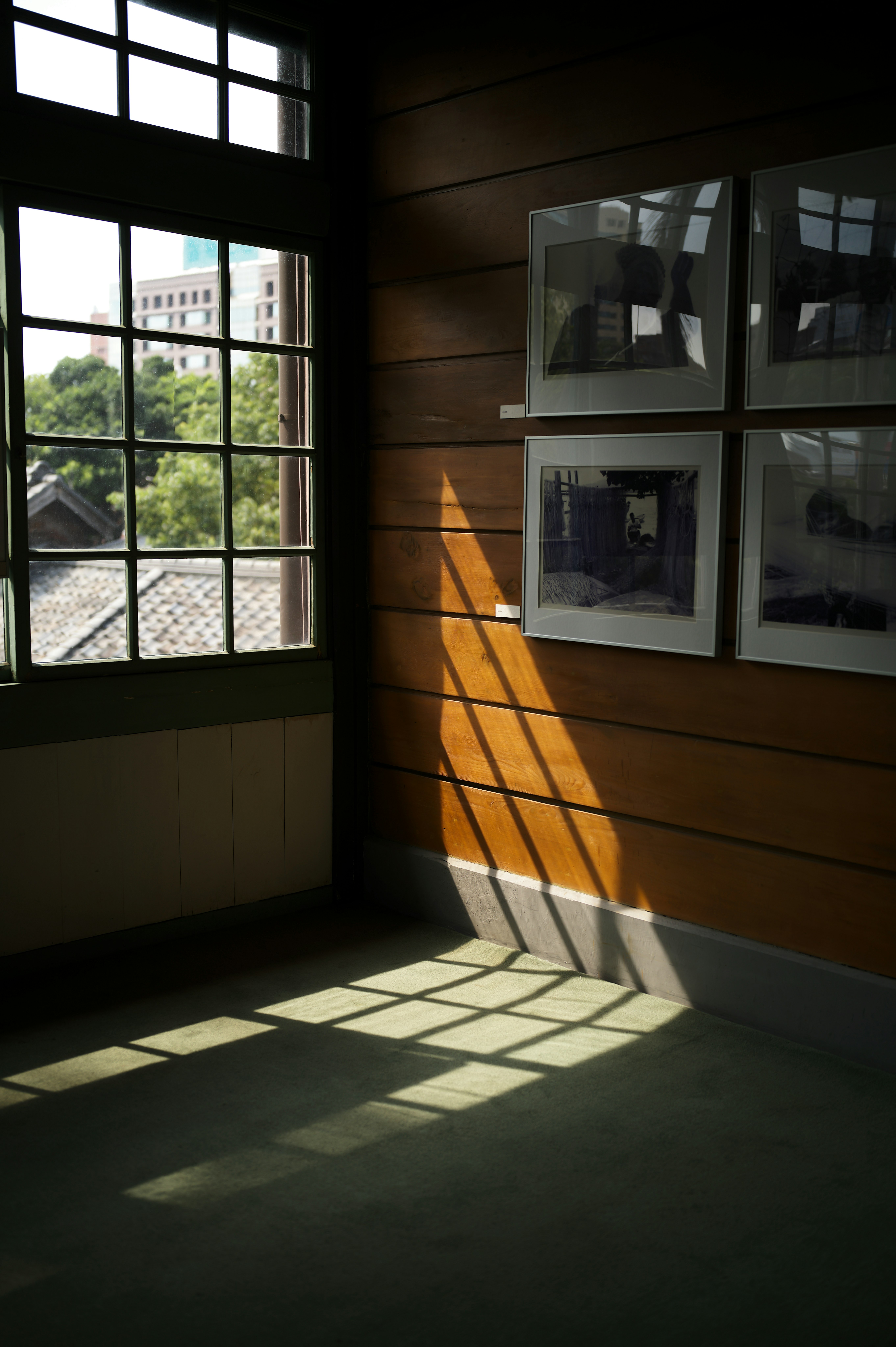 photo-M3YtPBmolPRCHOQWup34-image