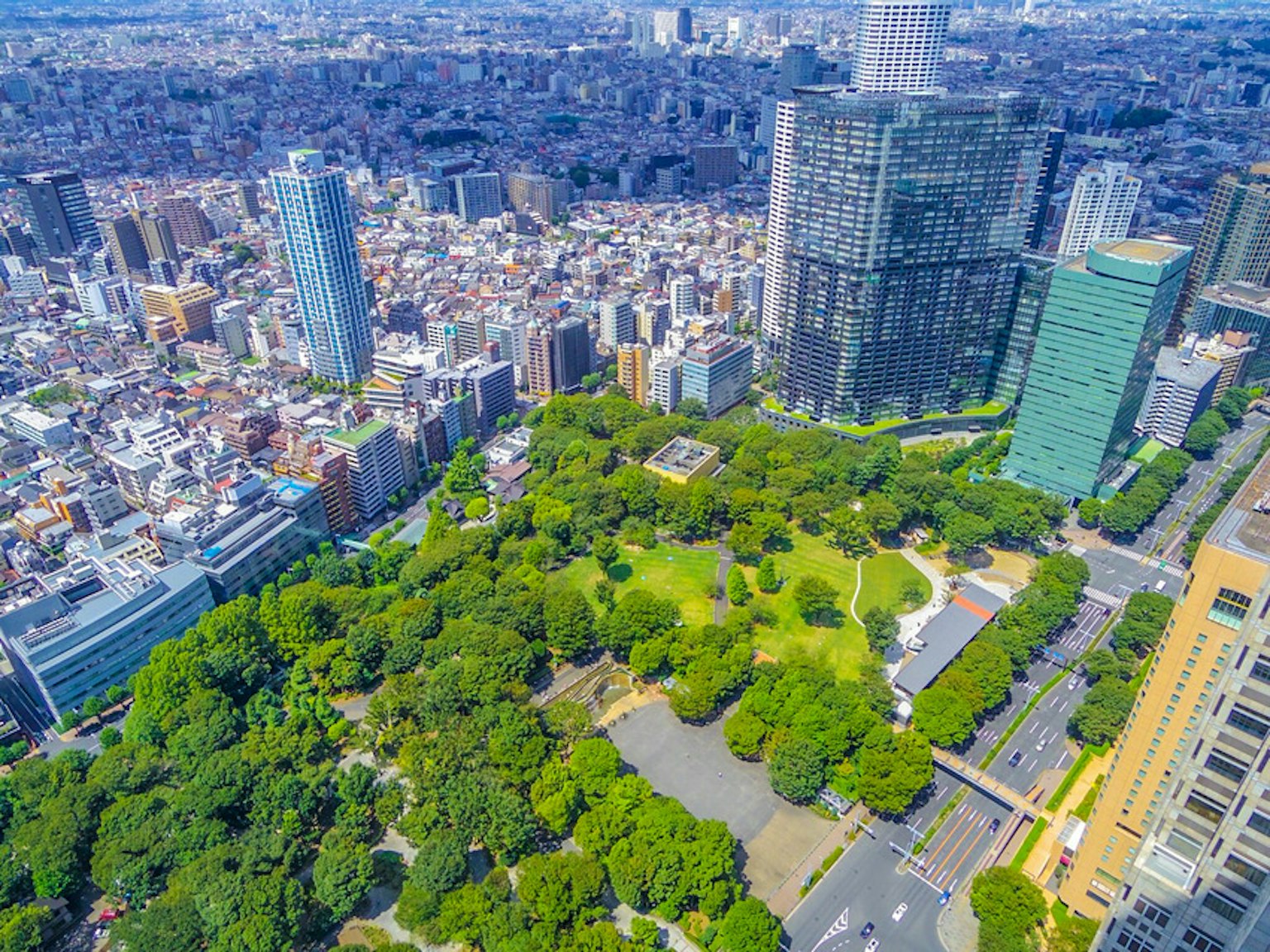 Vista aerea dei grattacieli di Tokyo e di un parco verdeggiante