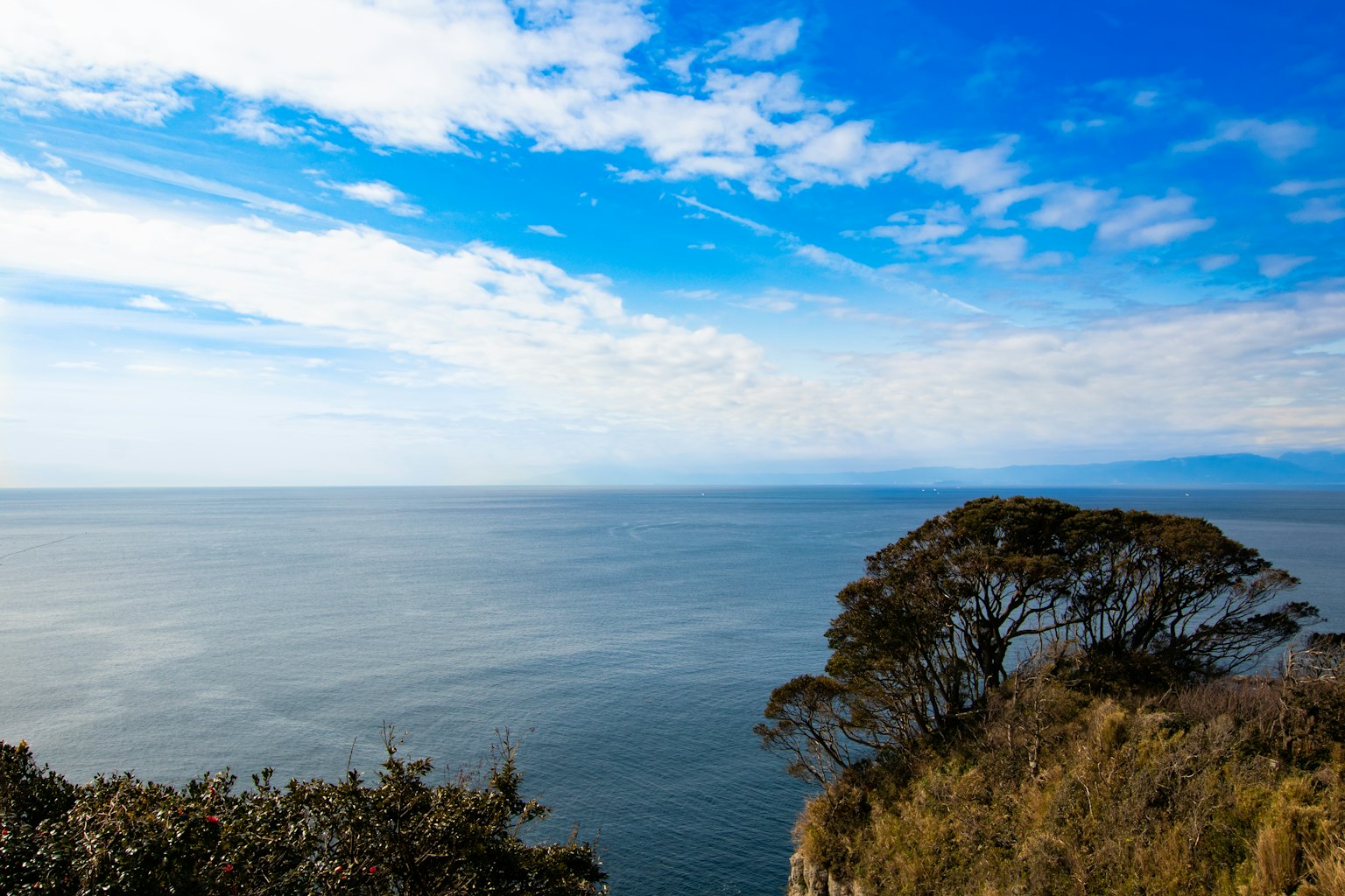 Blick von einer Klippe auf einen blauen Himmel und einen weiten Ozean mit Baum-Silhouette