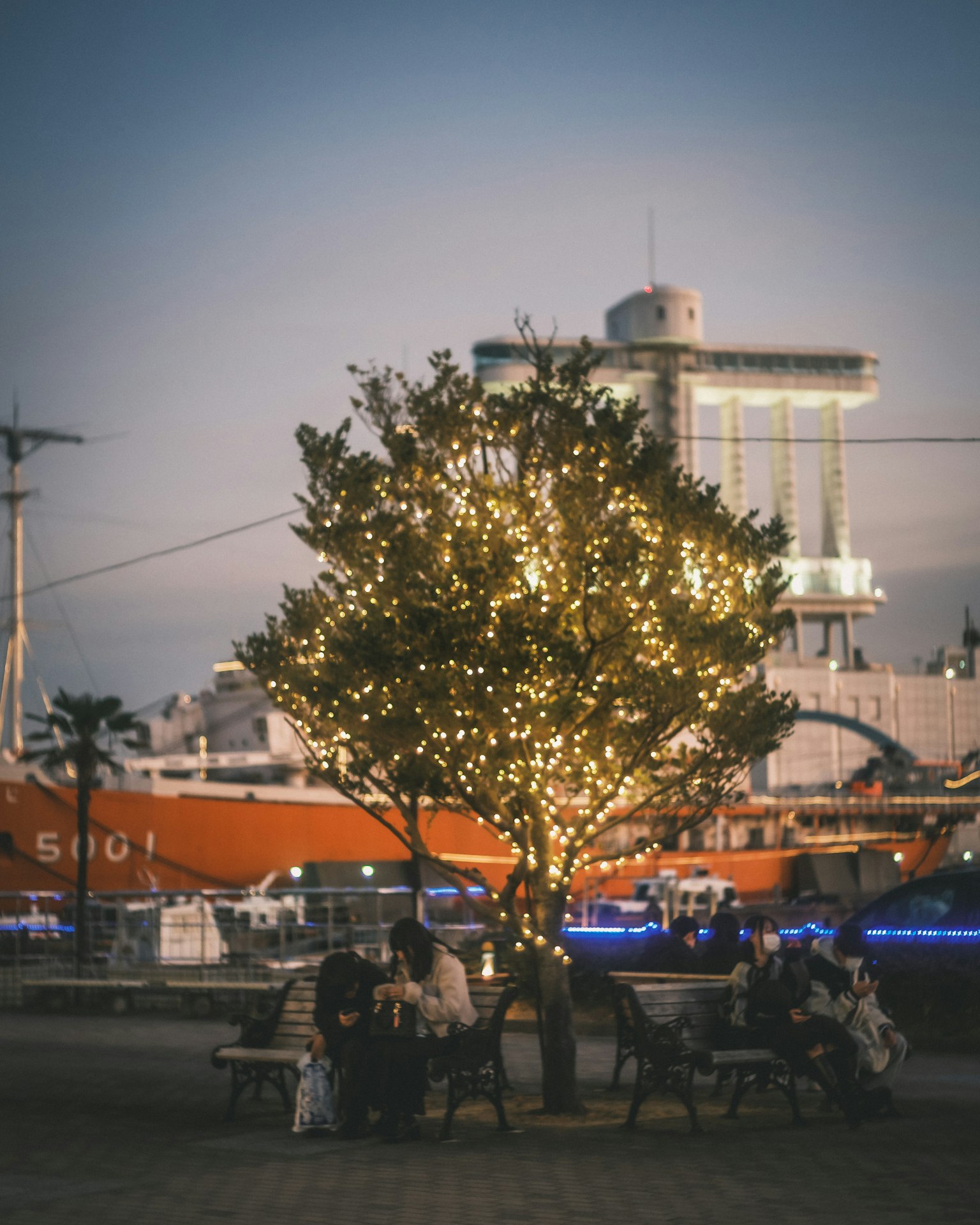 Beleuchteter Baum mit Menschen auf Bänken vor einem Schiff und der Waterfront