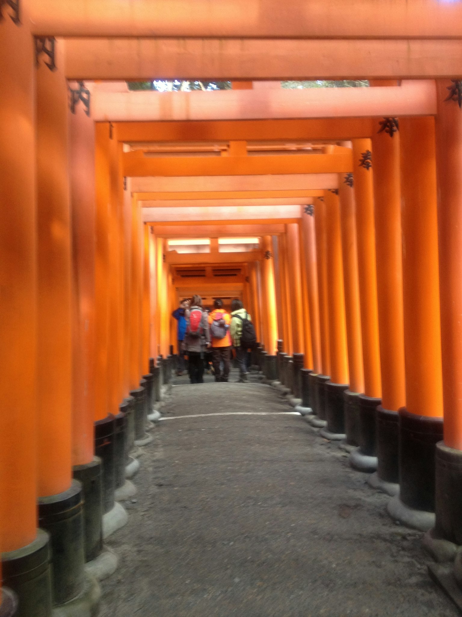 伏見稻荷神社的橙色鳥居環繞的小徑上有行走的人