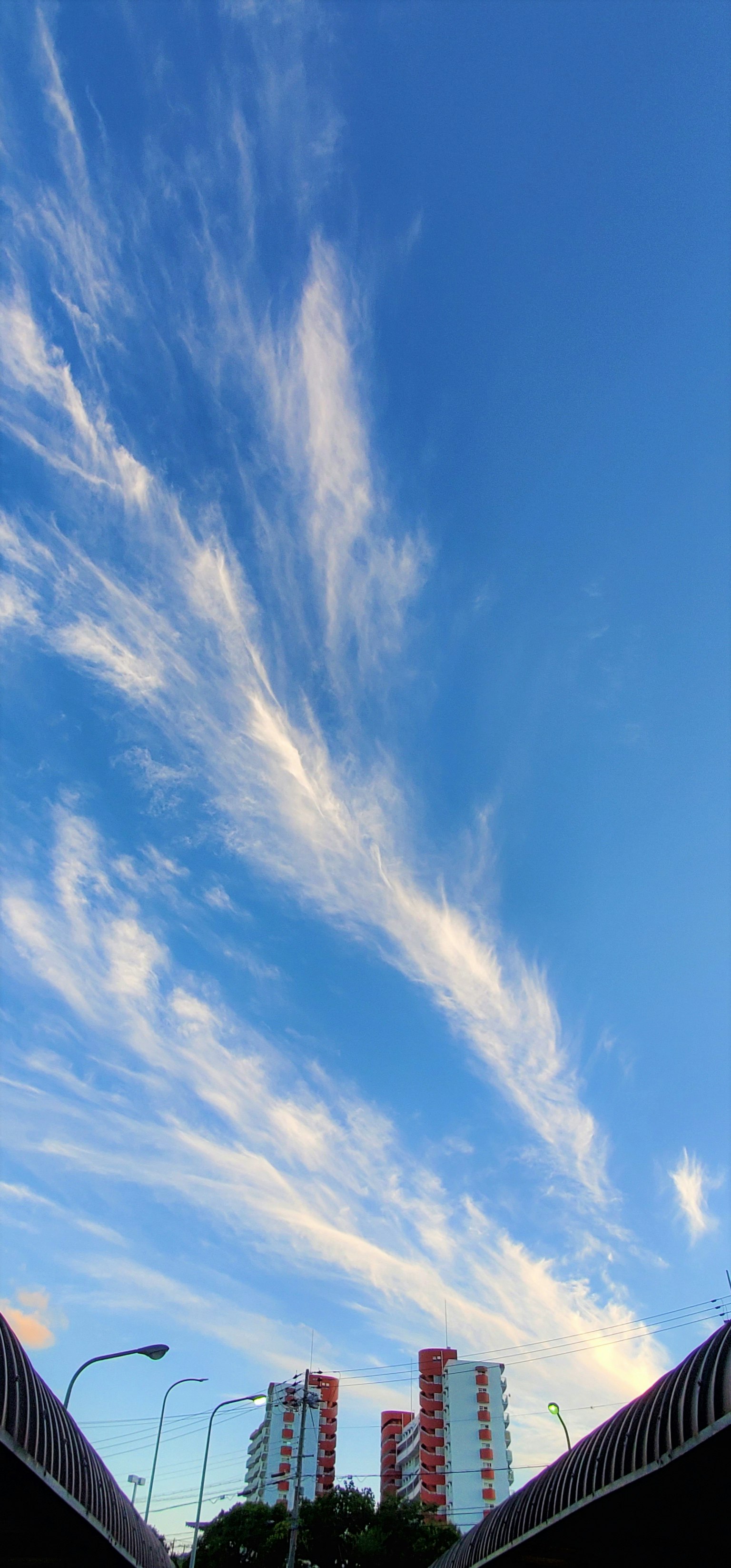 Una vista di un cielo blu con nuvole sottili e edifici alti