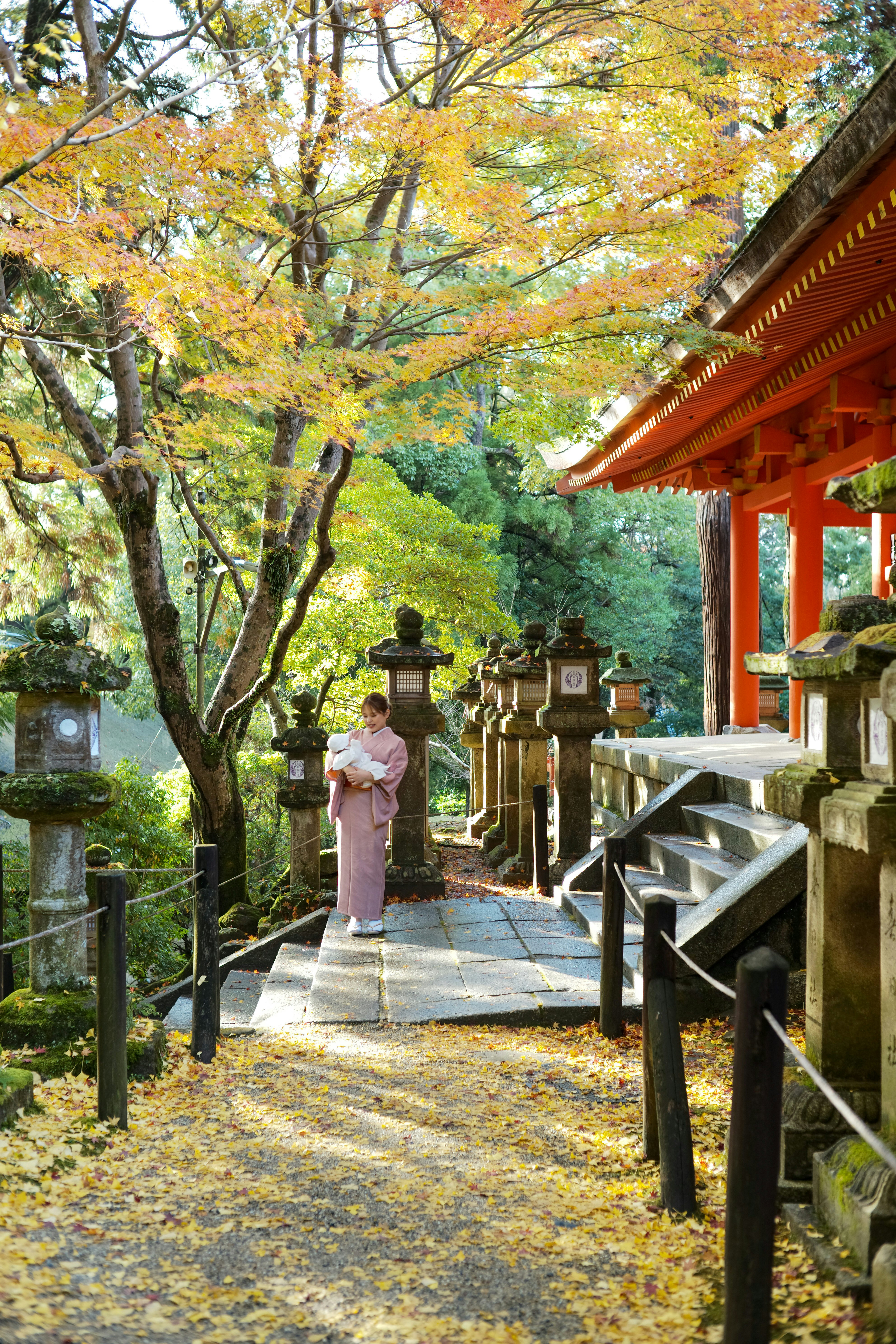紅葉の参道で七五三のお宮参りをする親子