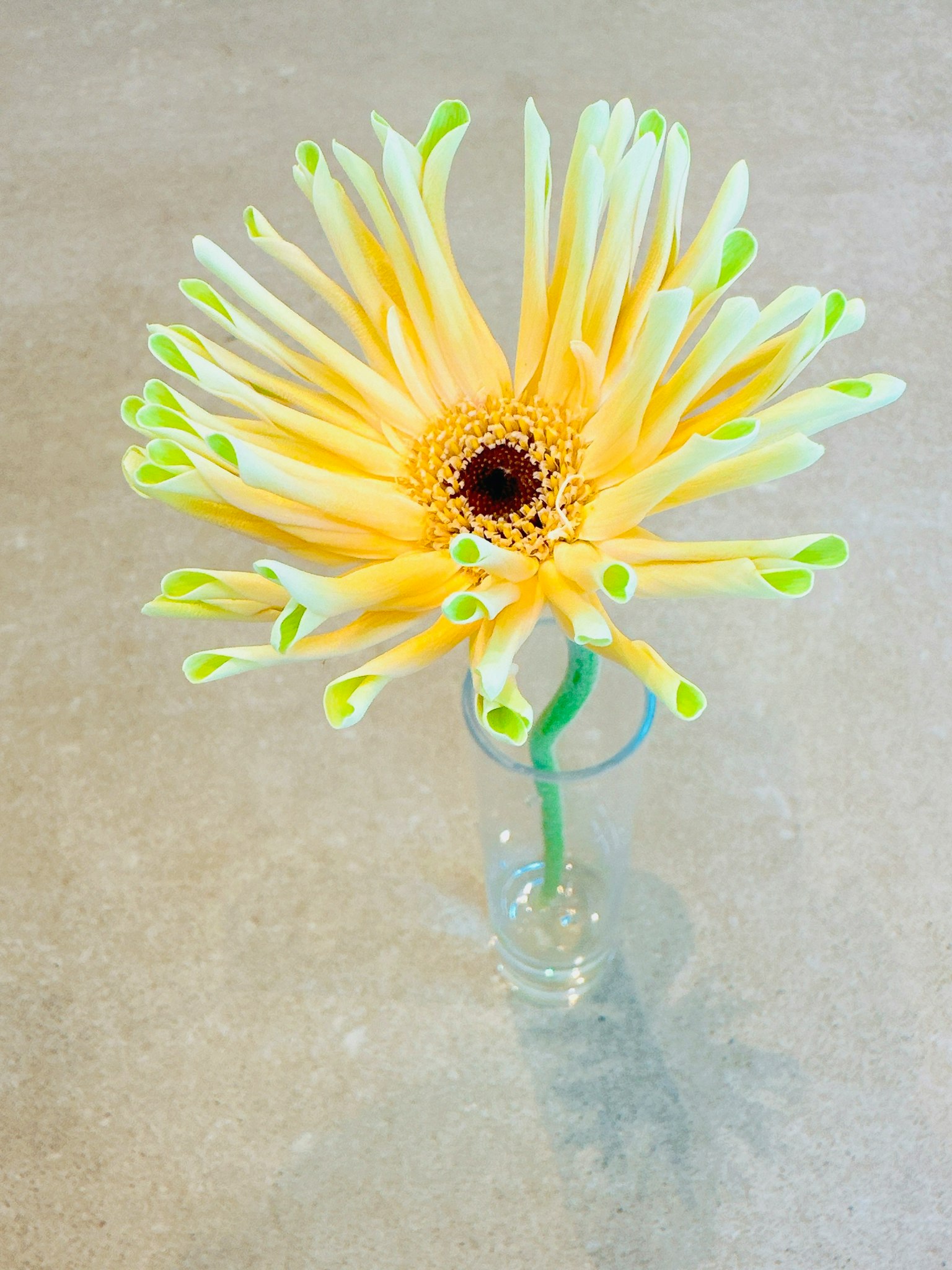 Yellow and green flower in a clear vase
