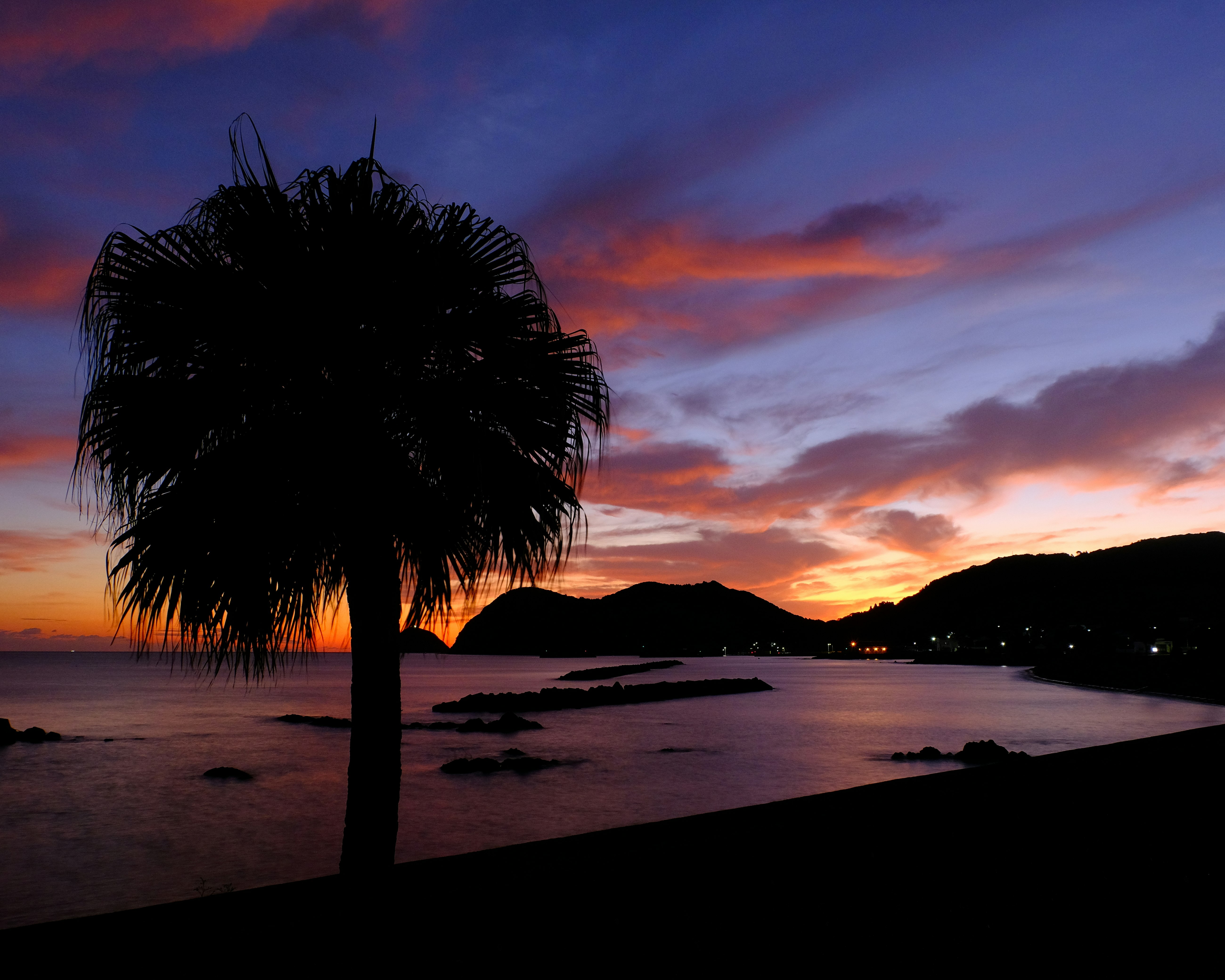 夕焼けの海辺に立つヤシの木