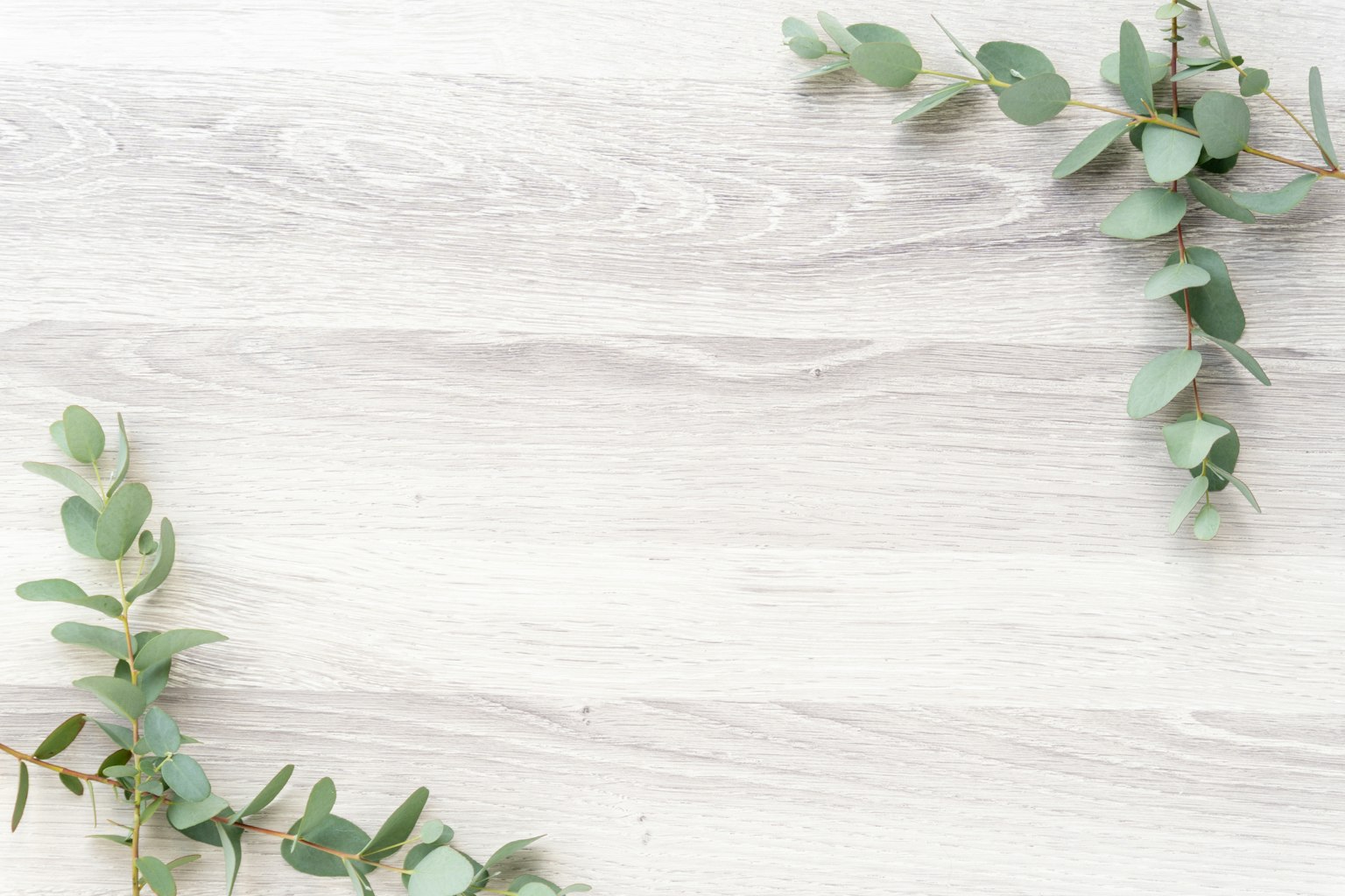 Foglie di eucalipto verdi disposte su uno sfondo bianco in legno