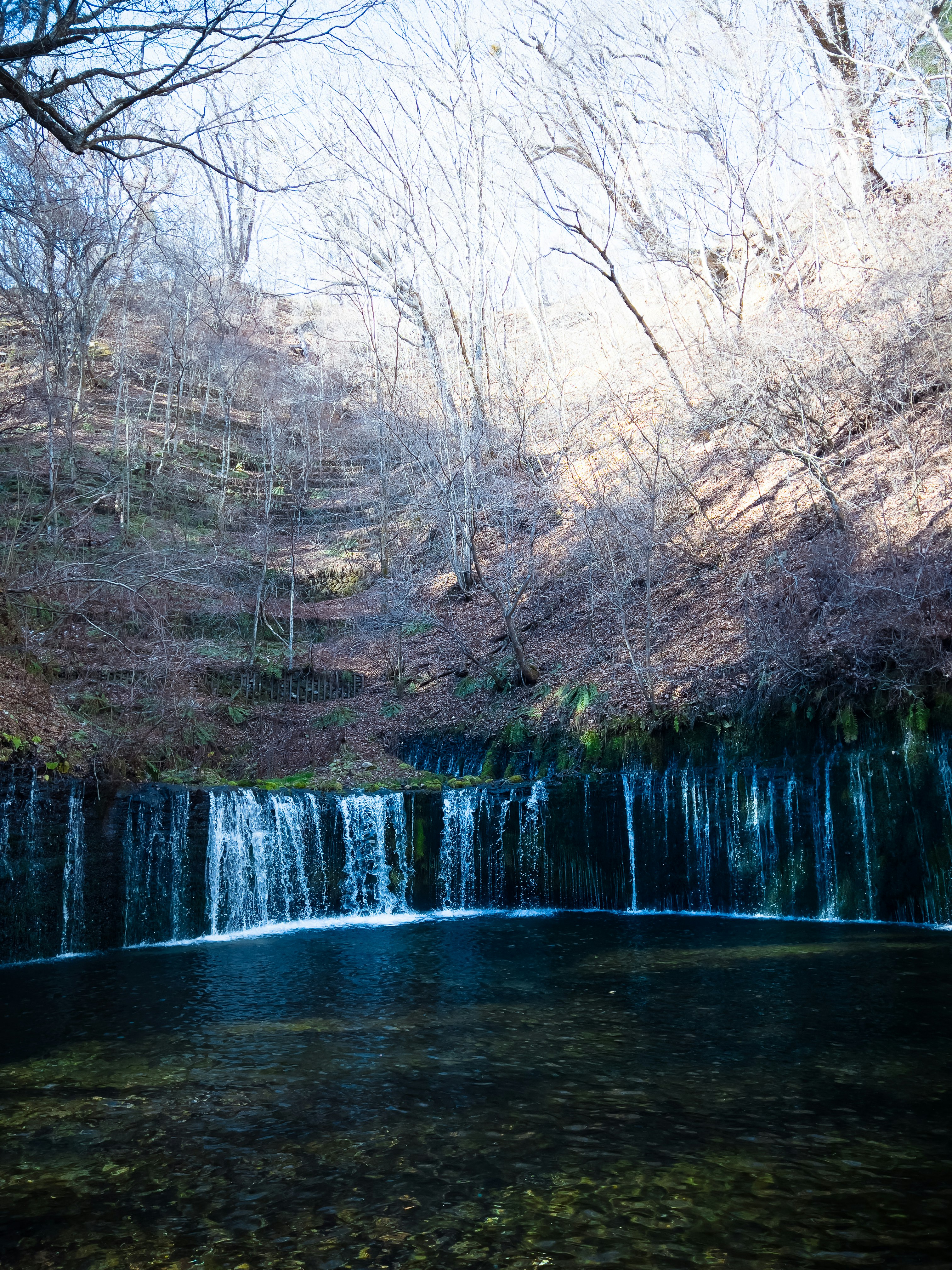 滝と水辺、冬のような静かな森の風景