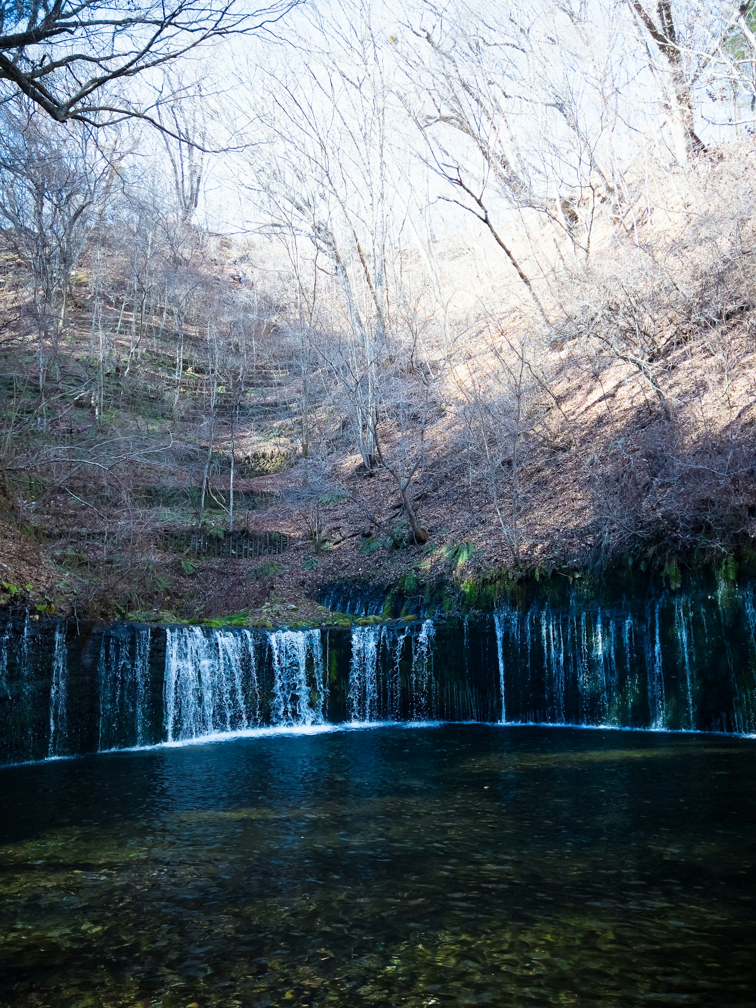 photo-M5pR9xtN3K79XxC2P59J-image