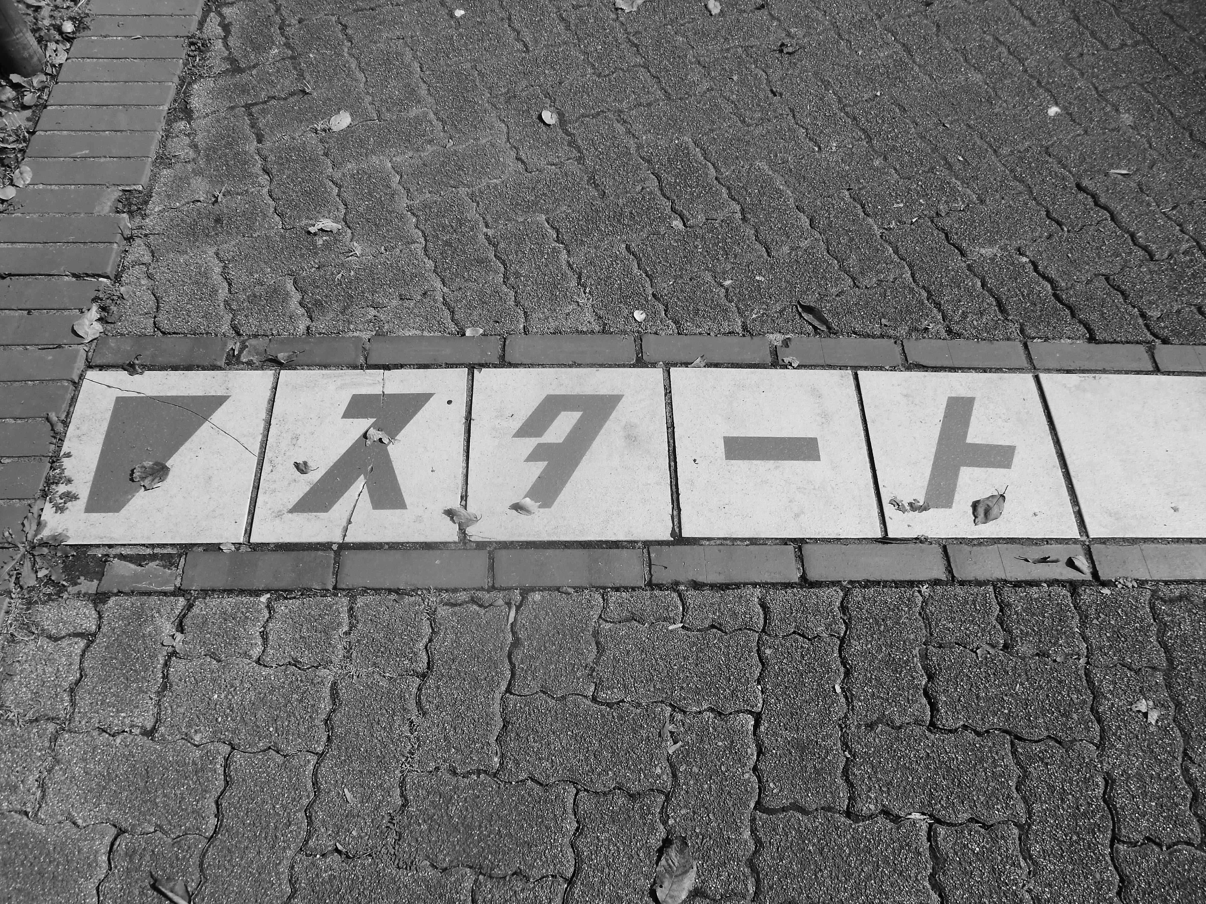 公園の歩行者用路面標示（白黒）