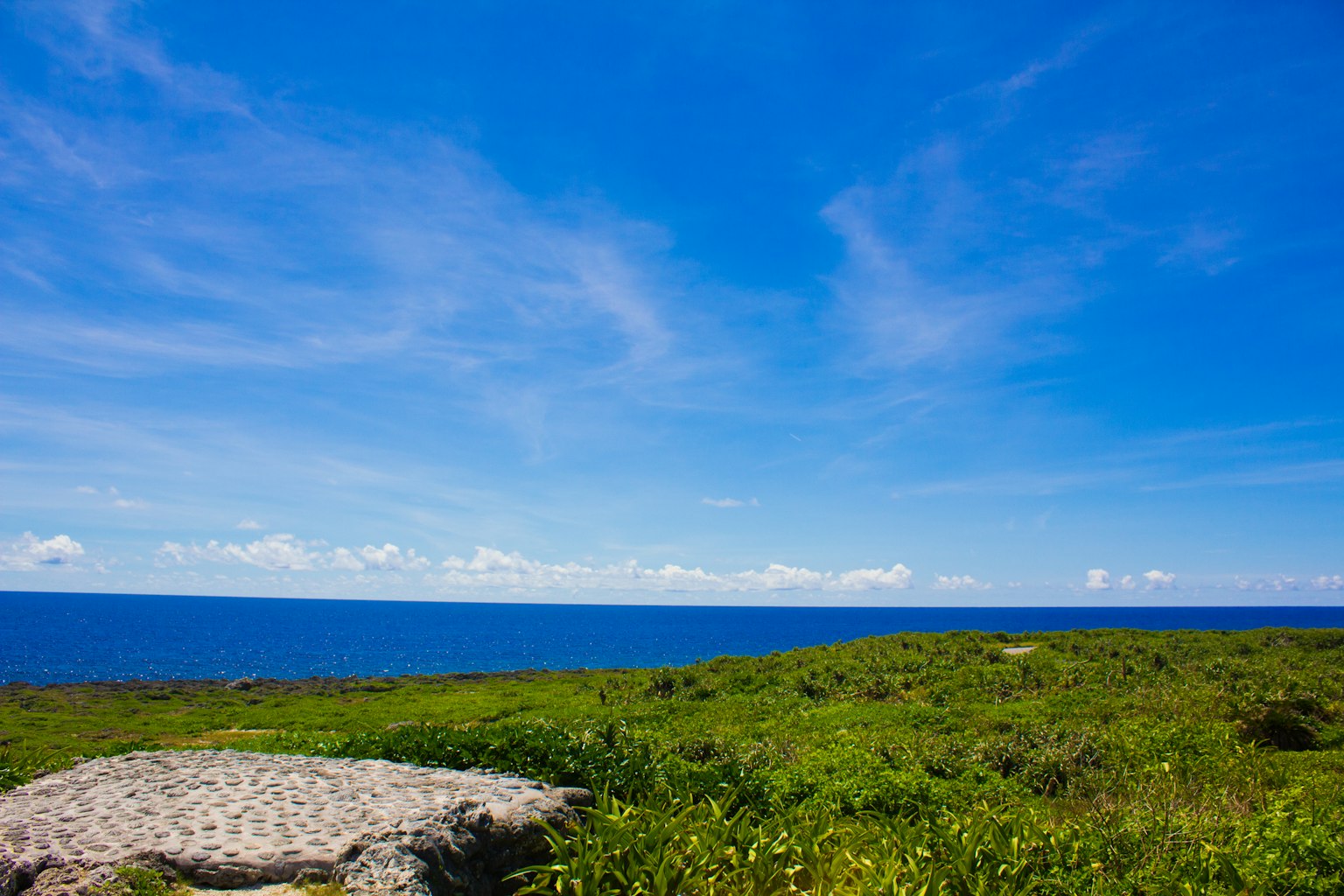 Paesaggio con cielo blu e oceano circondato da erba verde