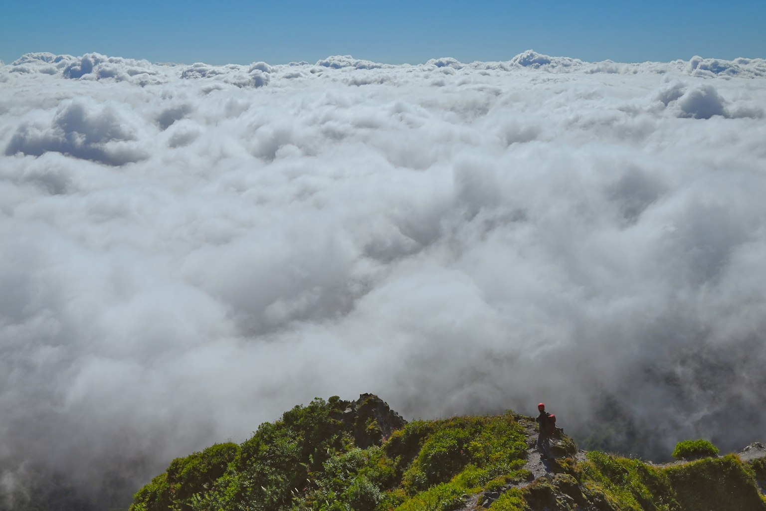 雲海の上に立つ登山者 緑の山の斜面と青空