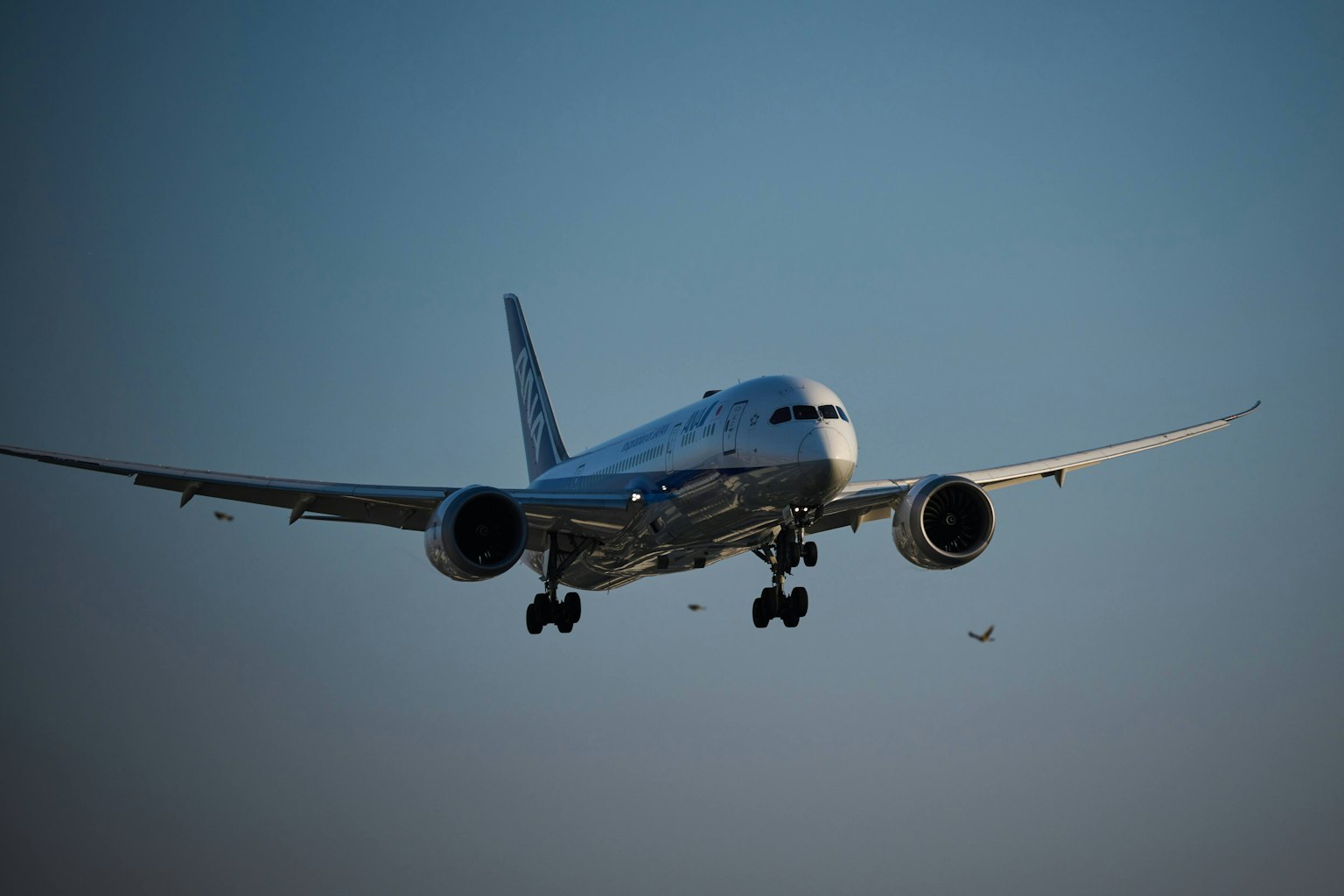 Airplane landing against a clear blue sky