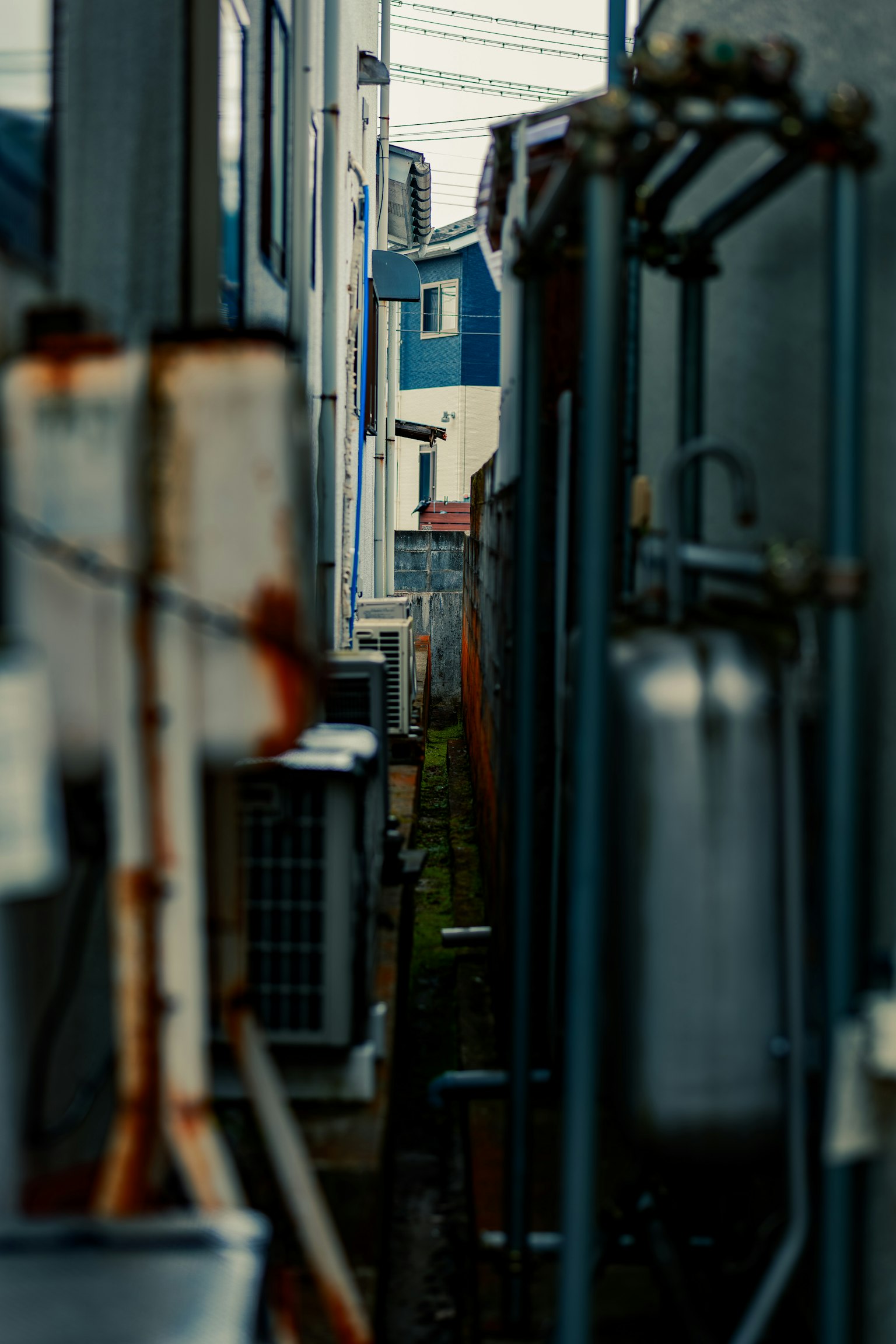 photo-M6qj8MaginzrR28ujhrL-image