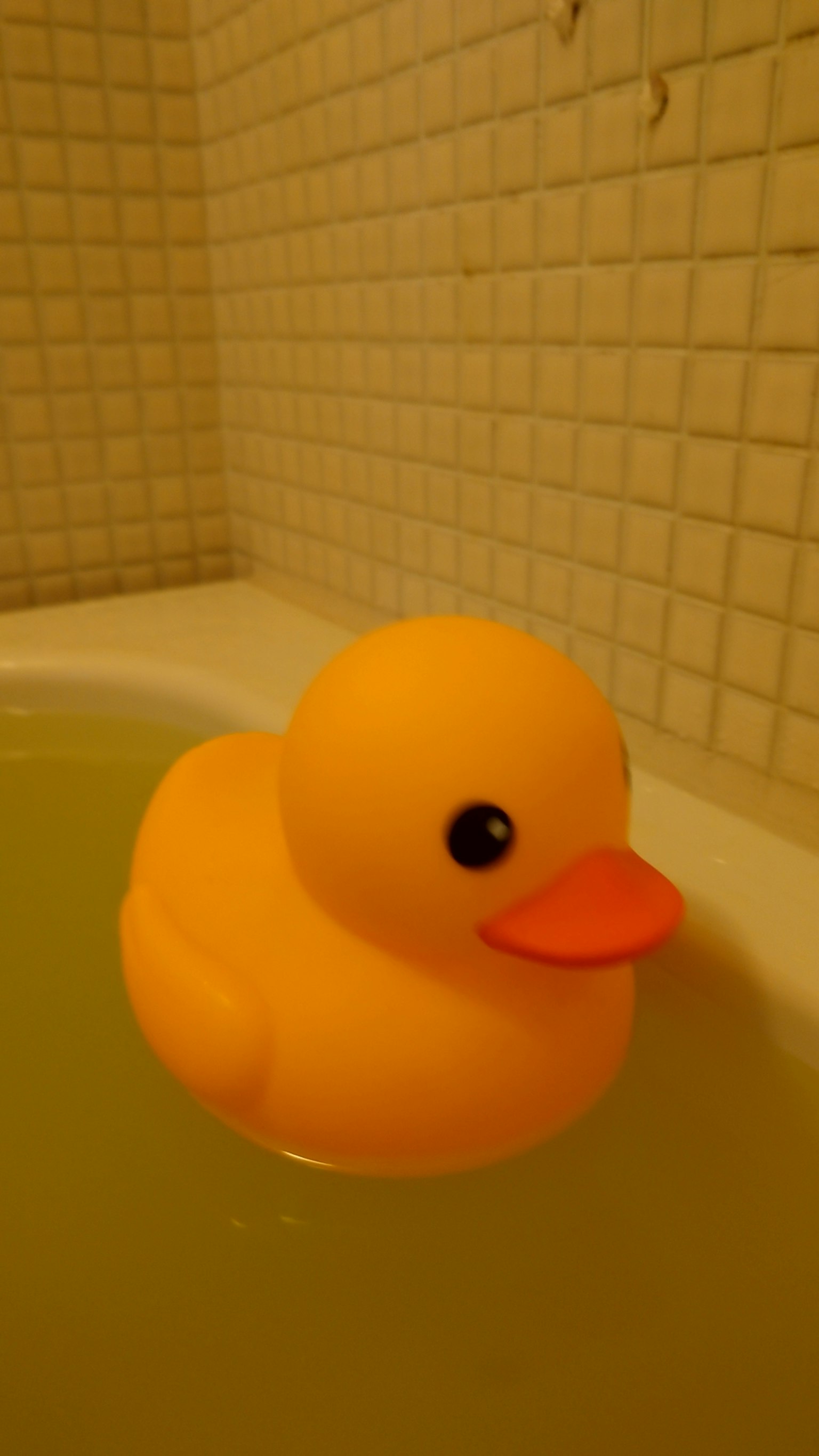Bebek karet mengapung di bak mandi dengan air kuning