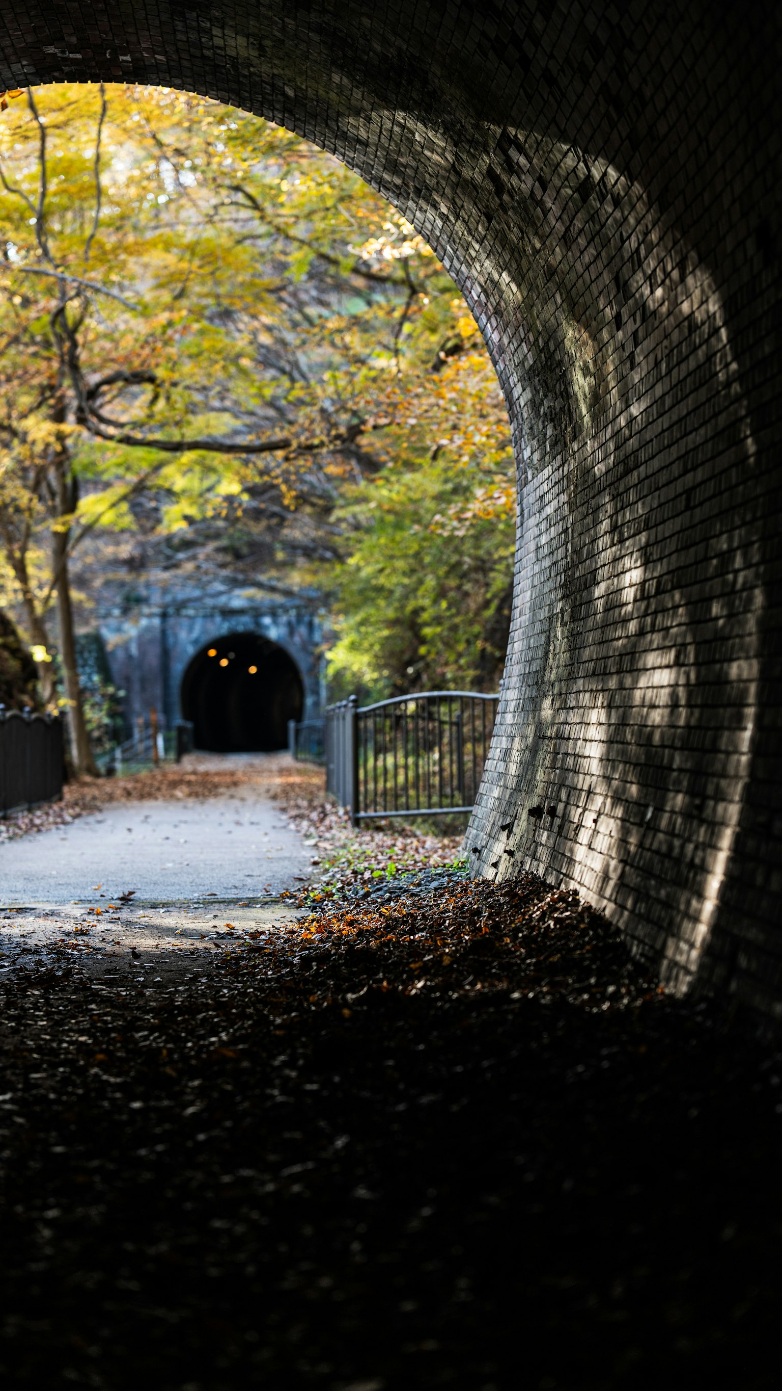 トンネルの中から見える秋の風景と落ち葉の小道