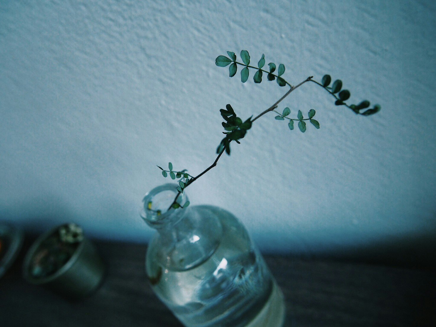 glass bottle with vine decoration on a blue wall image