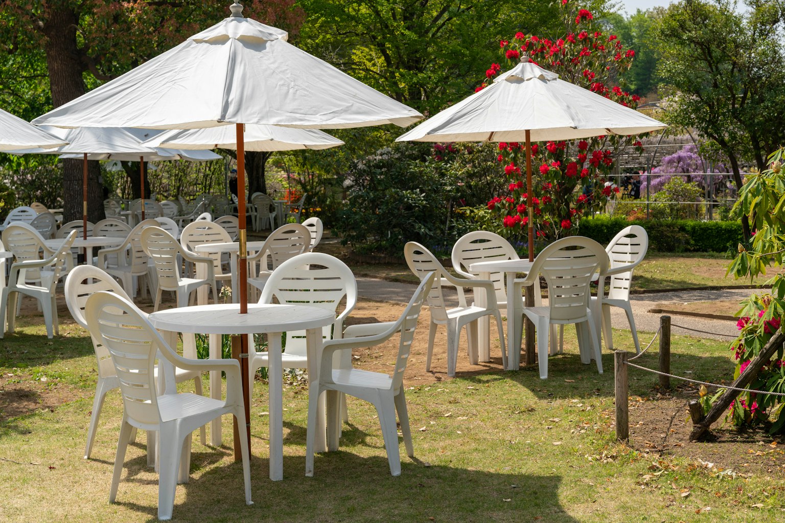 Outdoor café area with white tables and chairs surrounded by green trees and colorful flowers