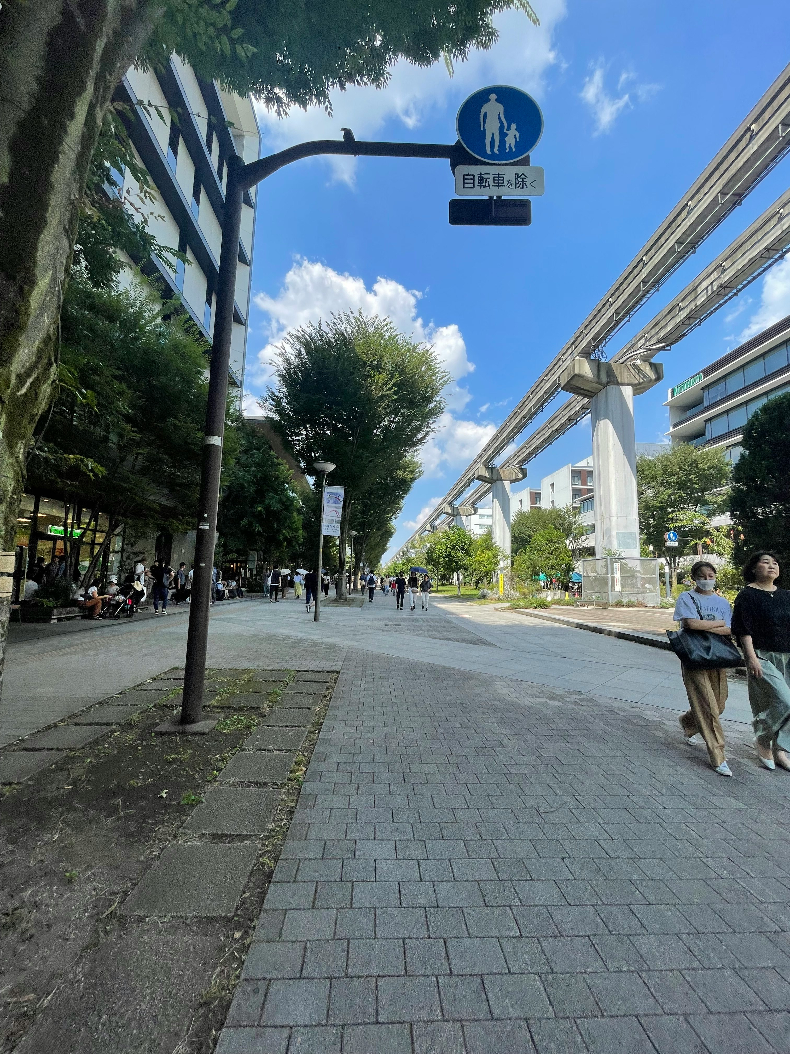 立川駅から立川ステージガーデンへ向かうモノレール沿いの整備された広い道の風景