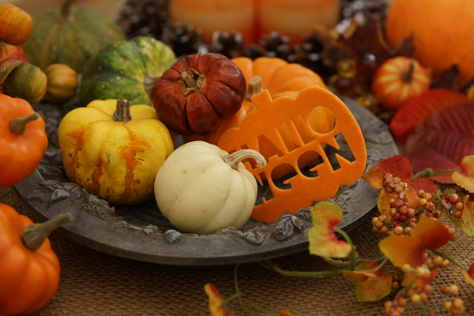 Labu berwarna-warni disusun dalam dekorasi meja musim gugur dengan tema Halloween