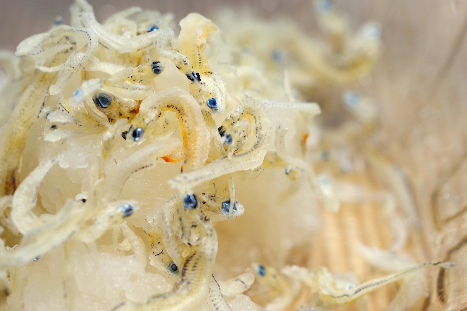 Nahaufnahme von kleinen getrockneten Fischen, die übereinander liegen