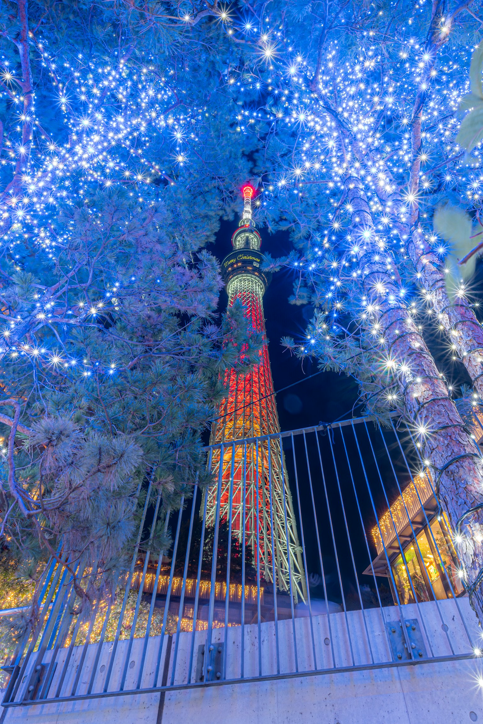 Tokyo Skytree ส่องสว่างในยามค่ำคืนล้อมรอบด้วยแสงสีน้ำเงิน