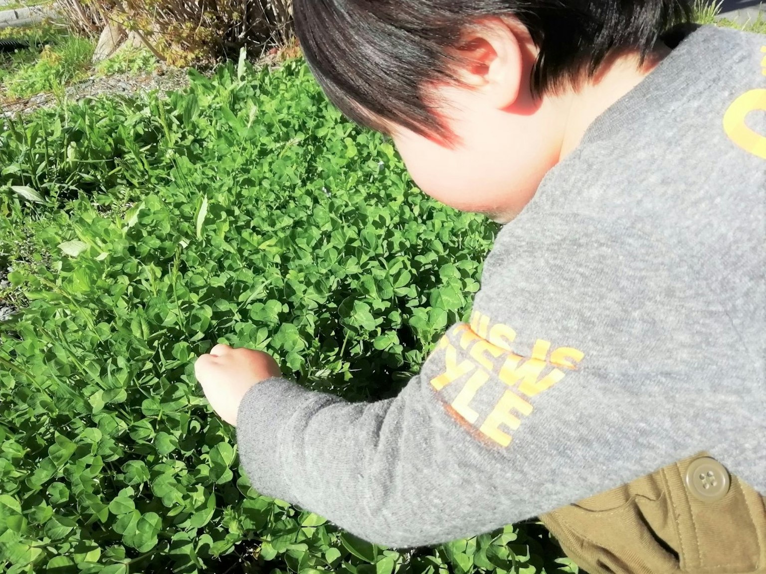 Bambino che raccoglie piante verdi in un giardino