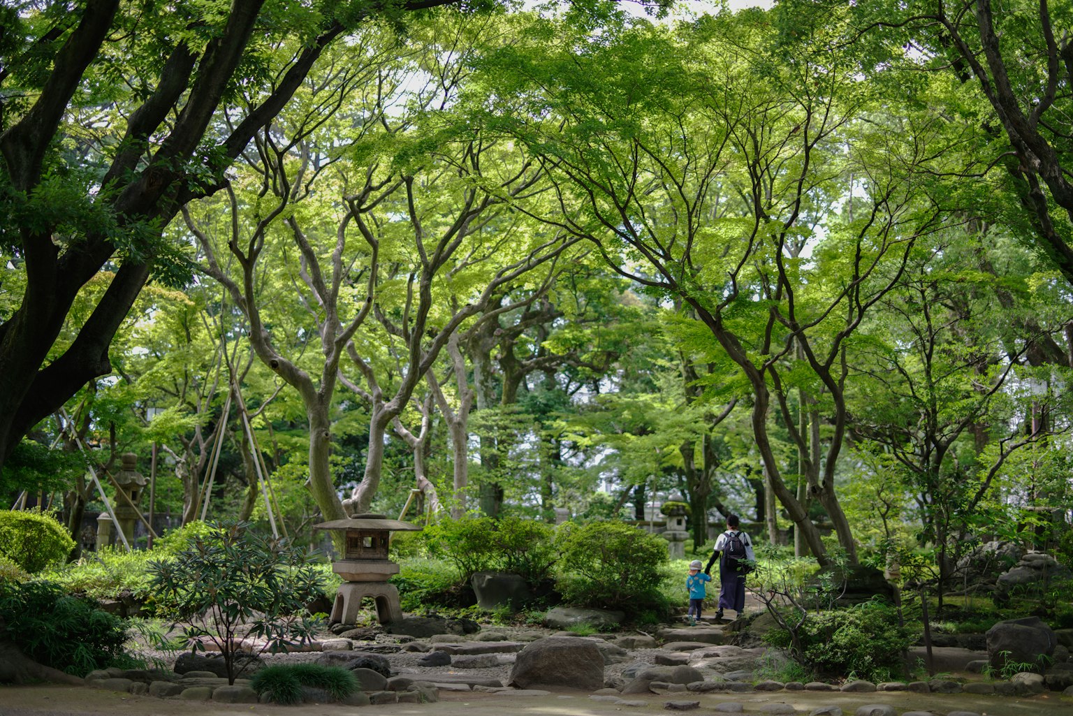 Escena de parque exuberante con personas caminando entre los árboles y el follaje