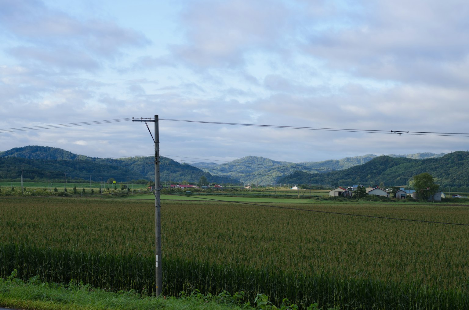 Vista escénica de campos verdes y colinas con un poste de energía en primer plano bajo un cielo nublado