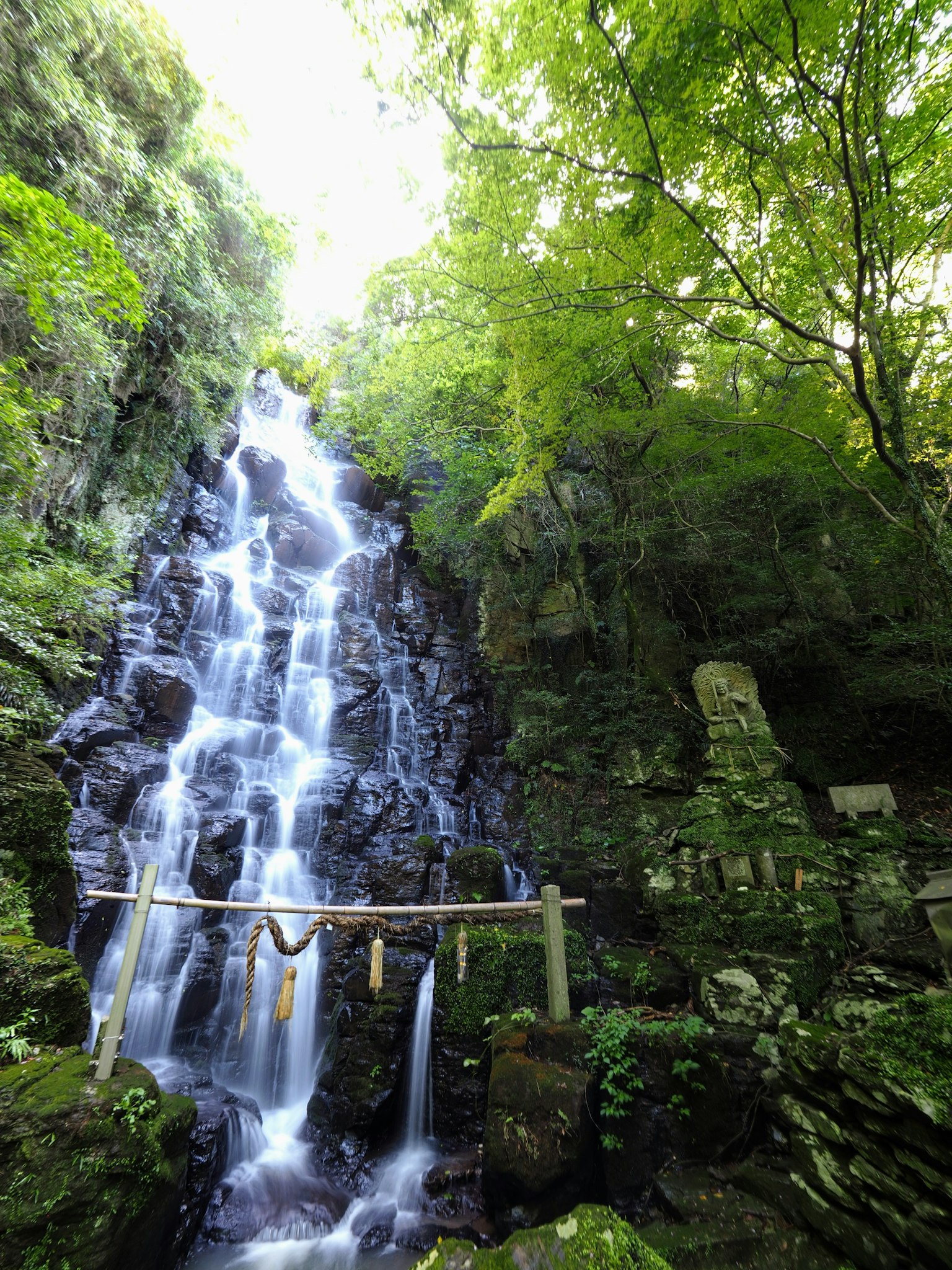Beautiful waterfall surrounded by lush greenery and a sacred torii gate