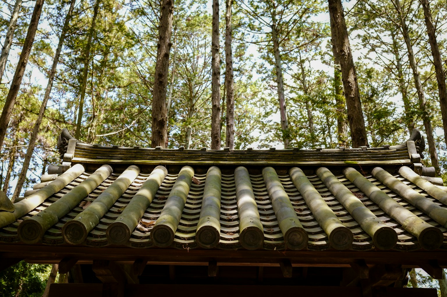 Atap ubin tradisional Jepang terlihat di antara pepohonan