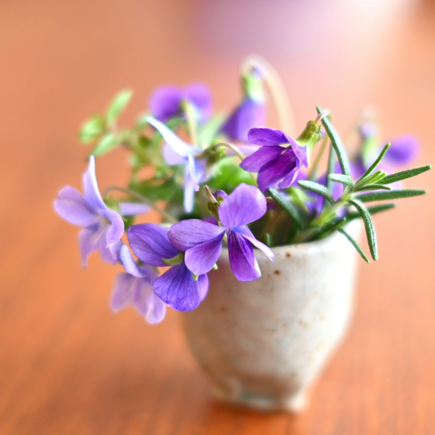 春の野の花（すみれ）を小さな花器に生けた画像