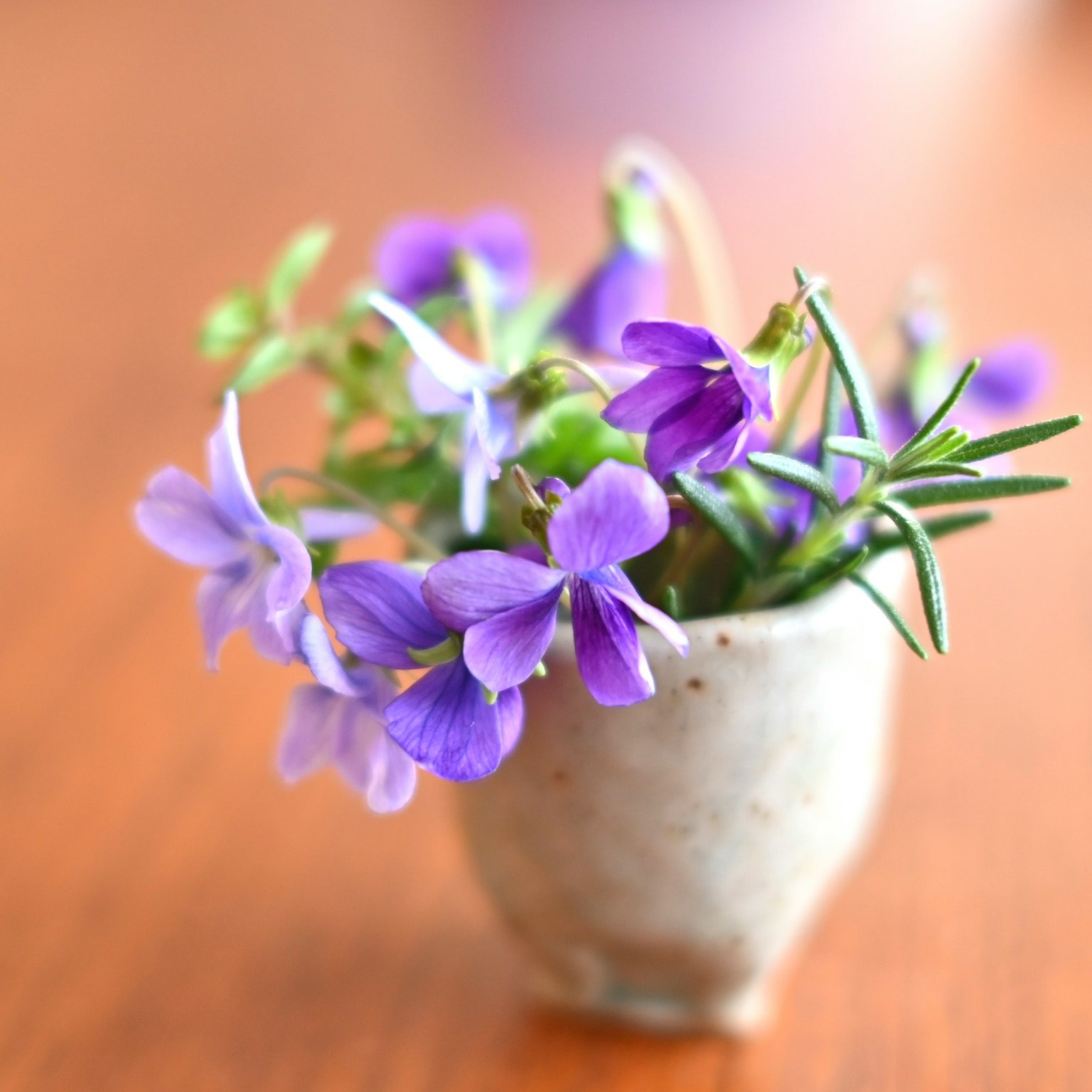 Fiori viola disposti in un piccolo vaso di ceramica