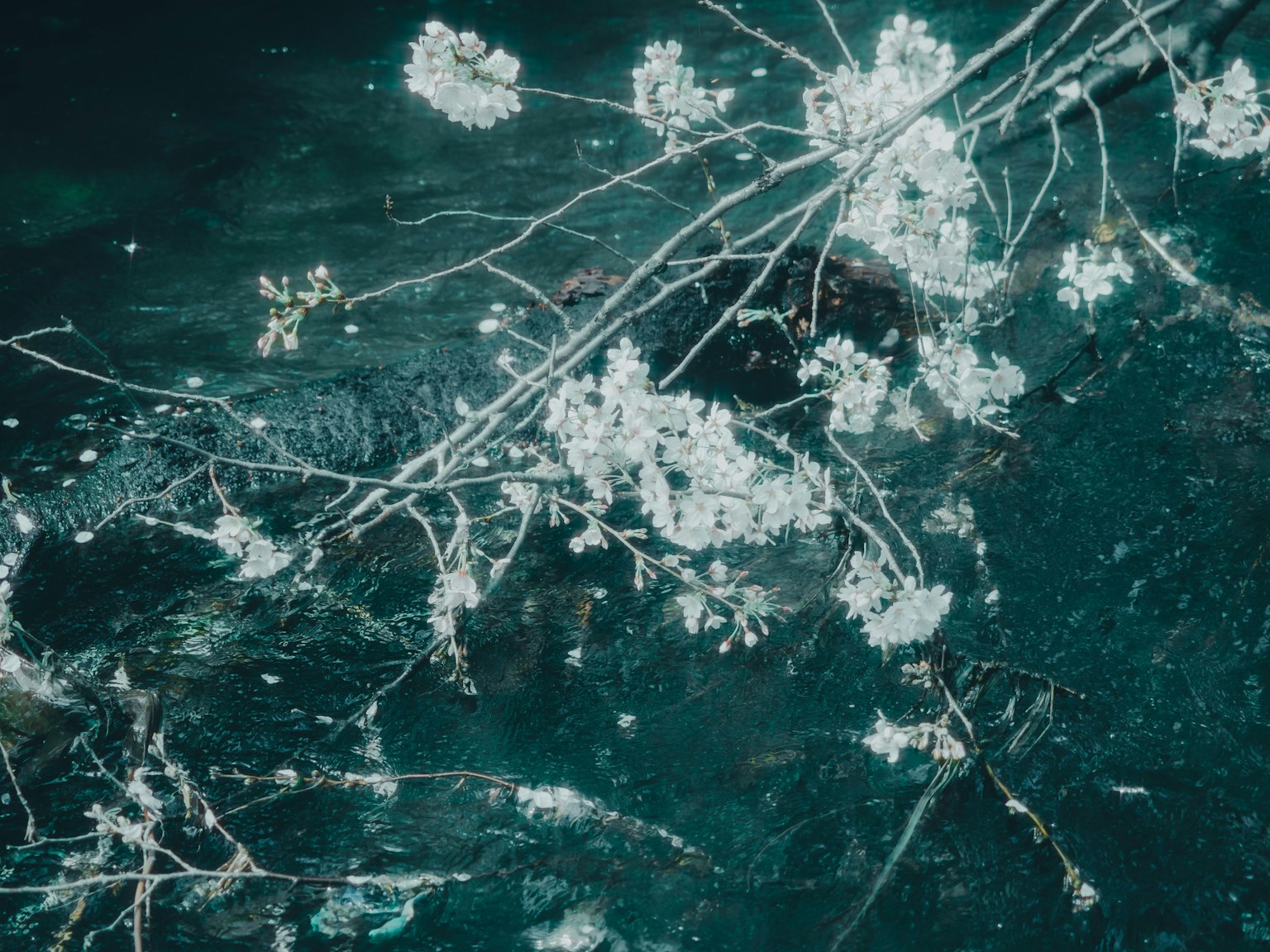 photo-MBwHWN58K0VVGP0UyM2b-image