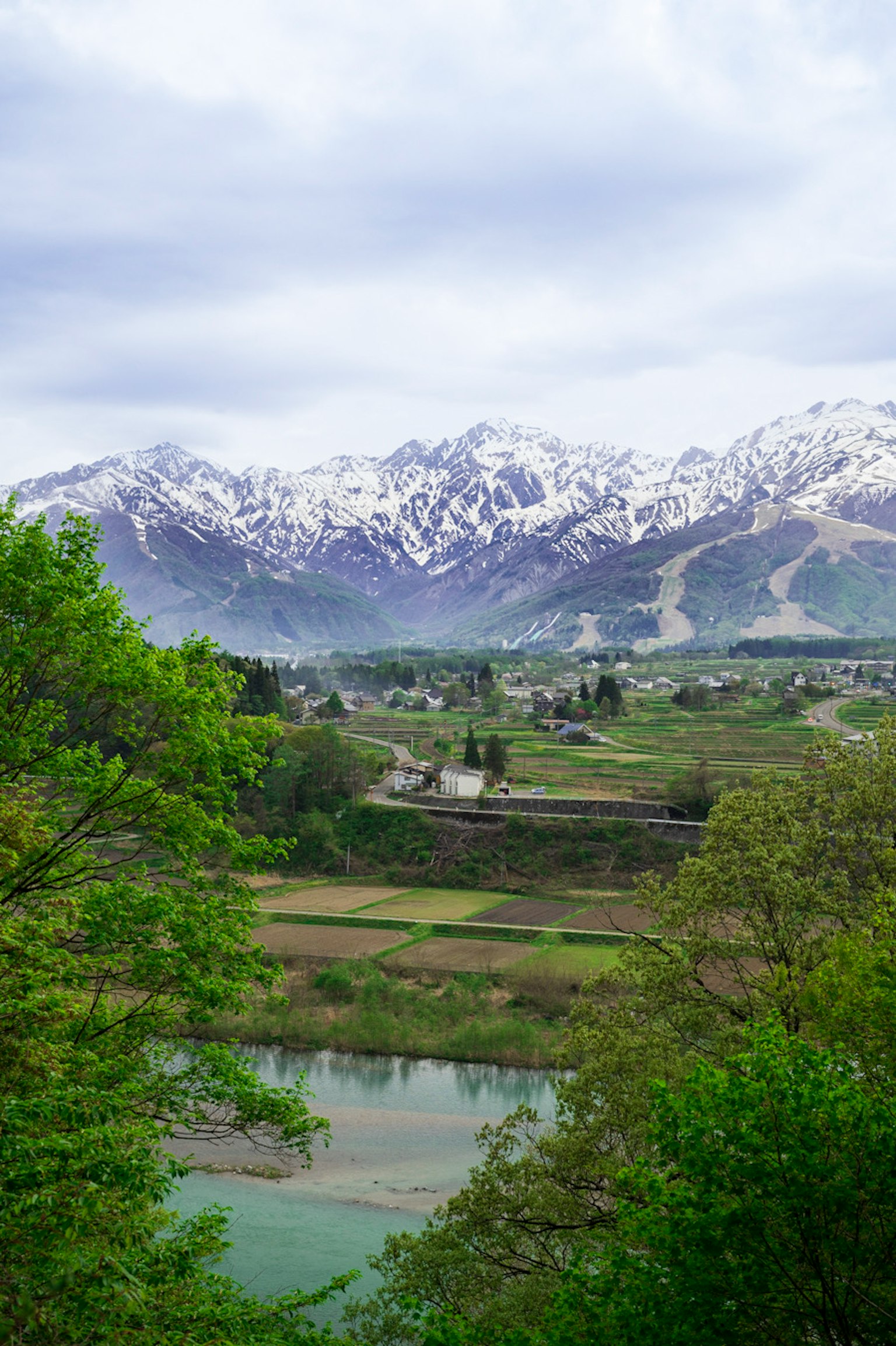 雪山與郁郁蔥蔥的田野和河流的風景