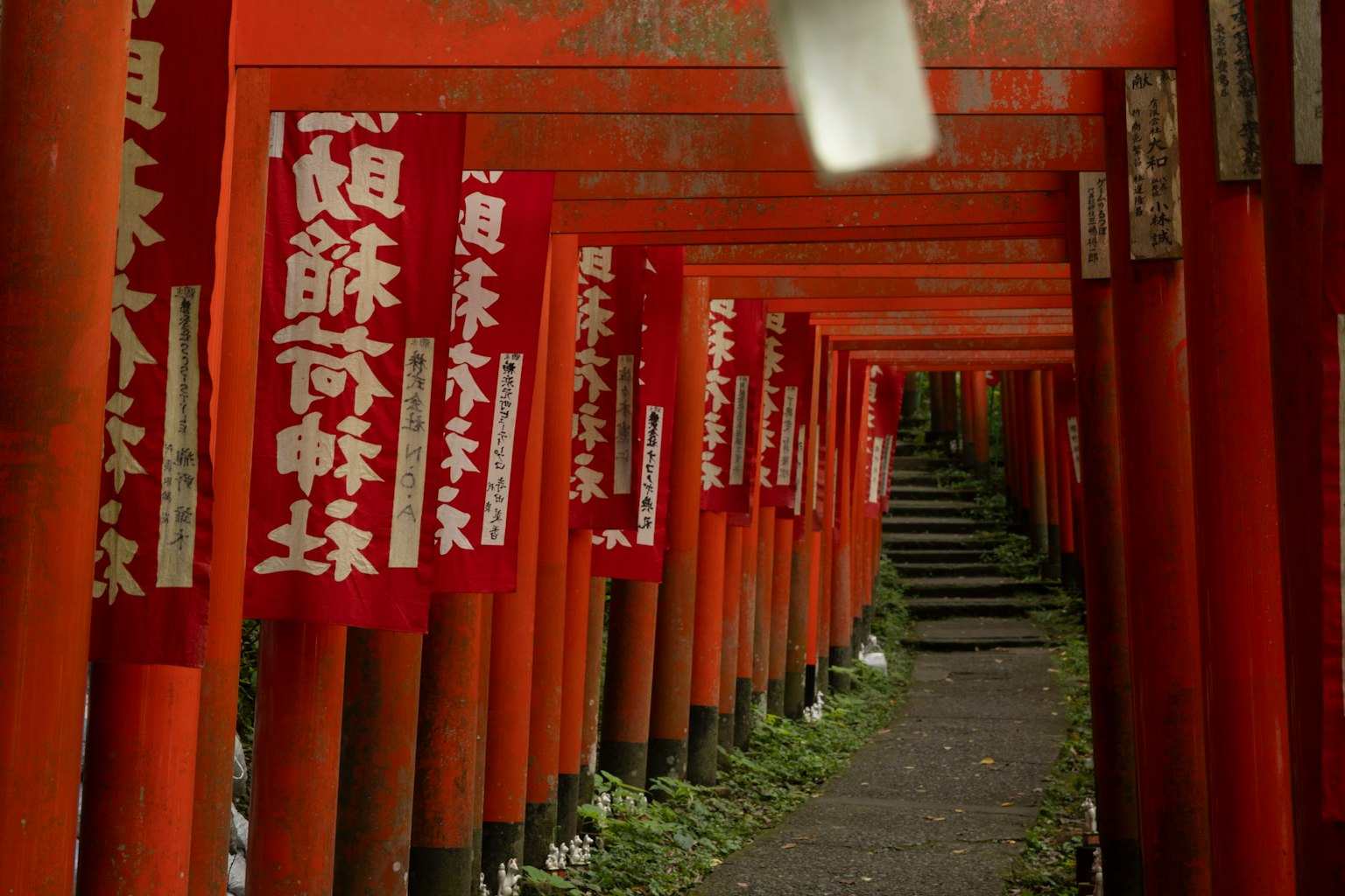 Sentiero fiancheggiato da torii rossi e striscioni in un santuario