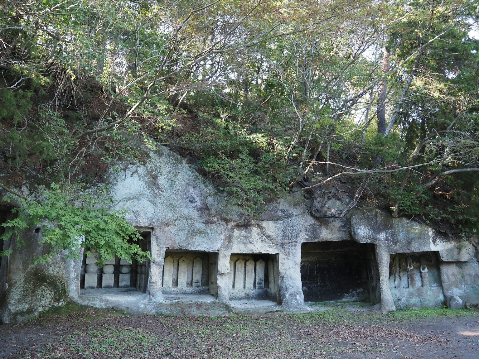 Tre strutture simili a caverne incassate in un muro roccioso circondate da vegetazione