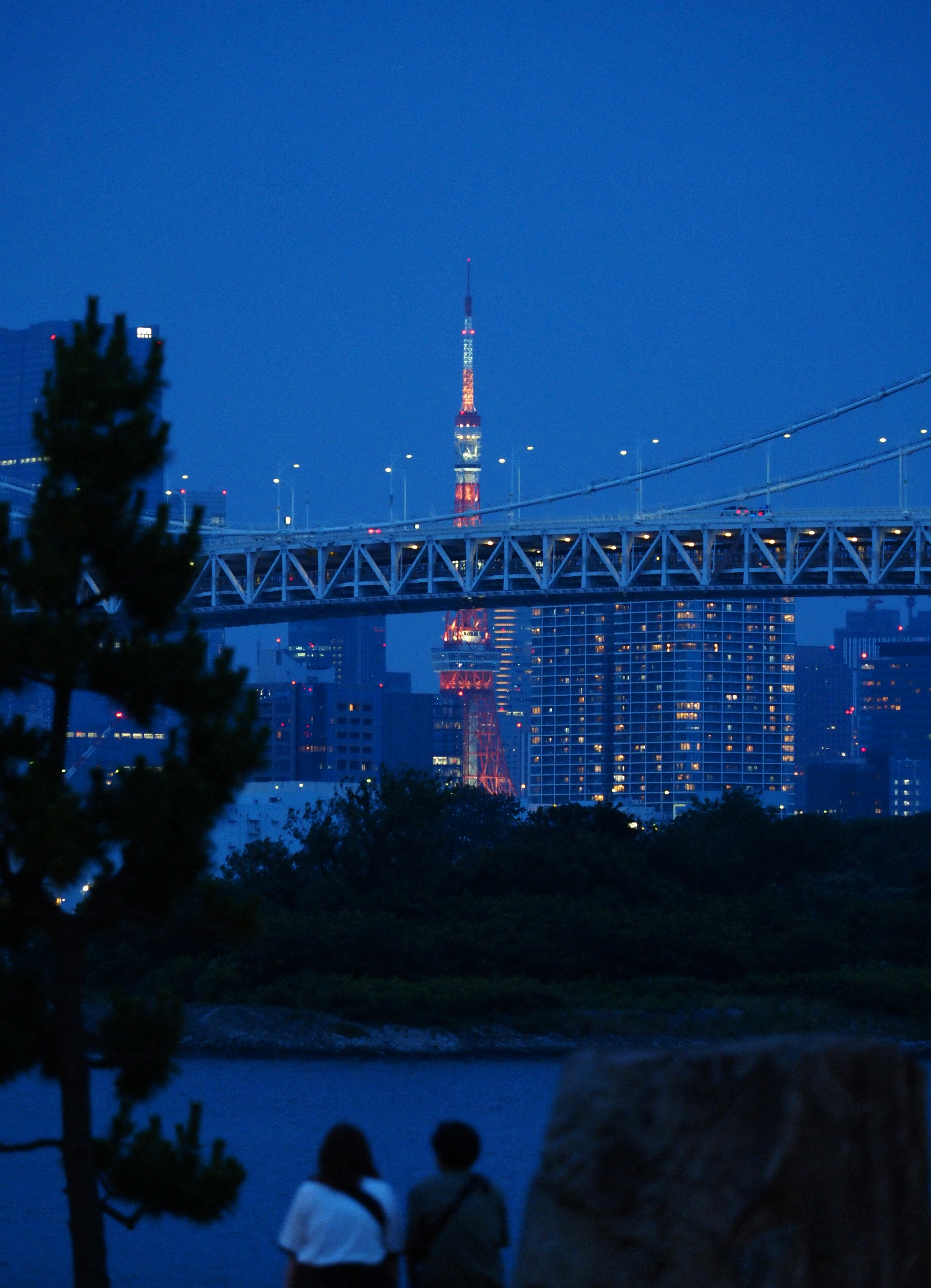 川沿いの夜景と東京タワーが見えるスカイライン