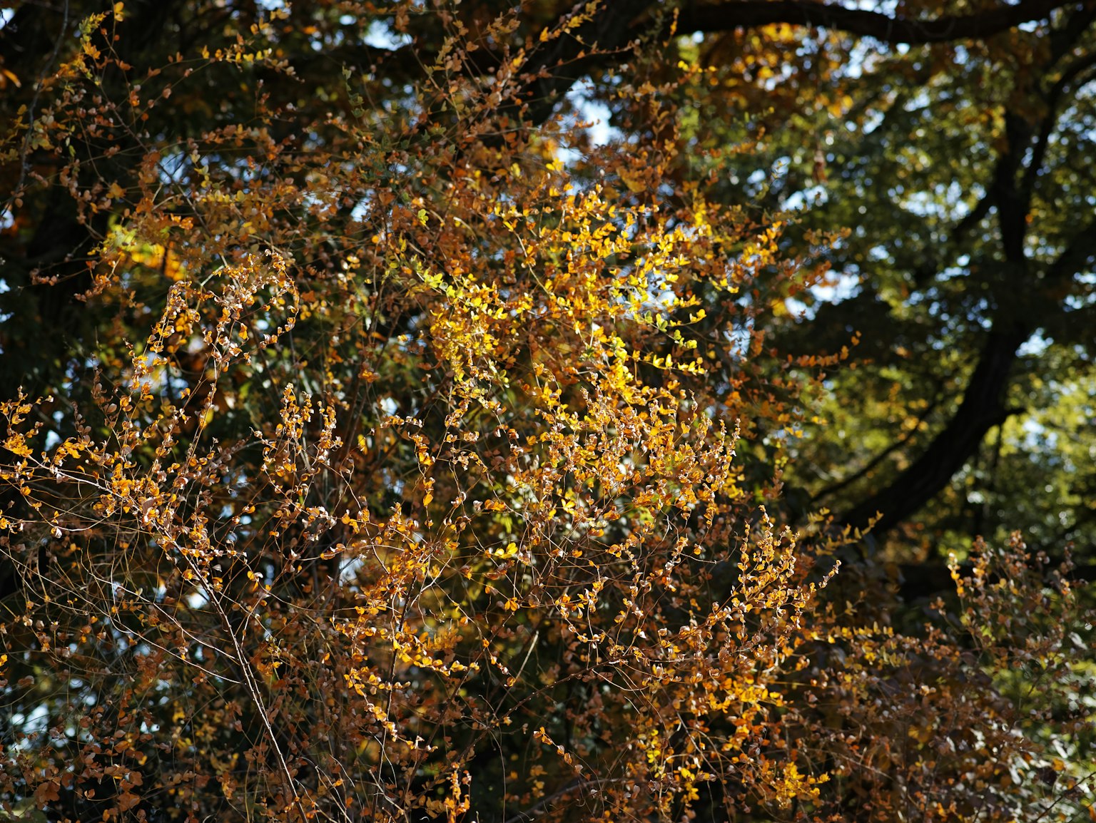 photo-MCyt1hk7UjlrnJZtCkzB-image