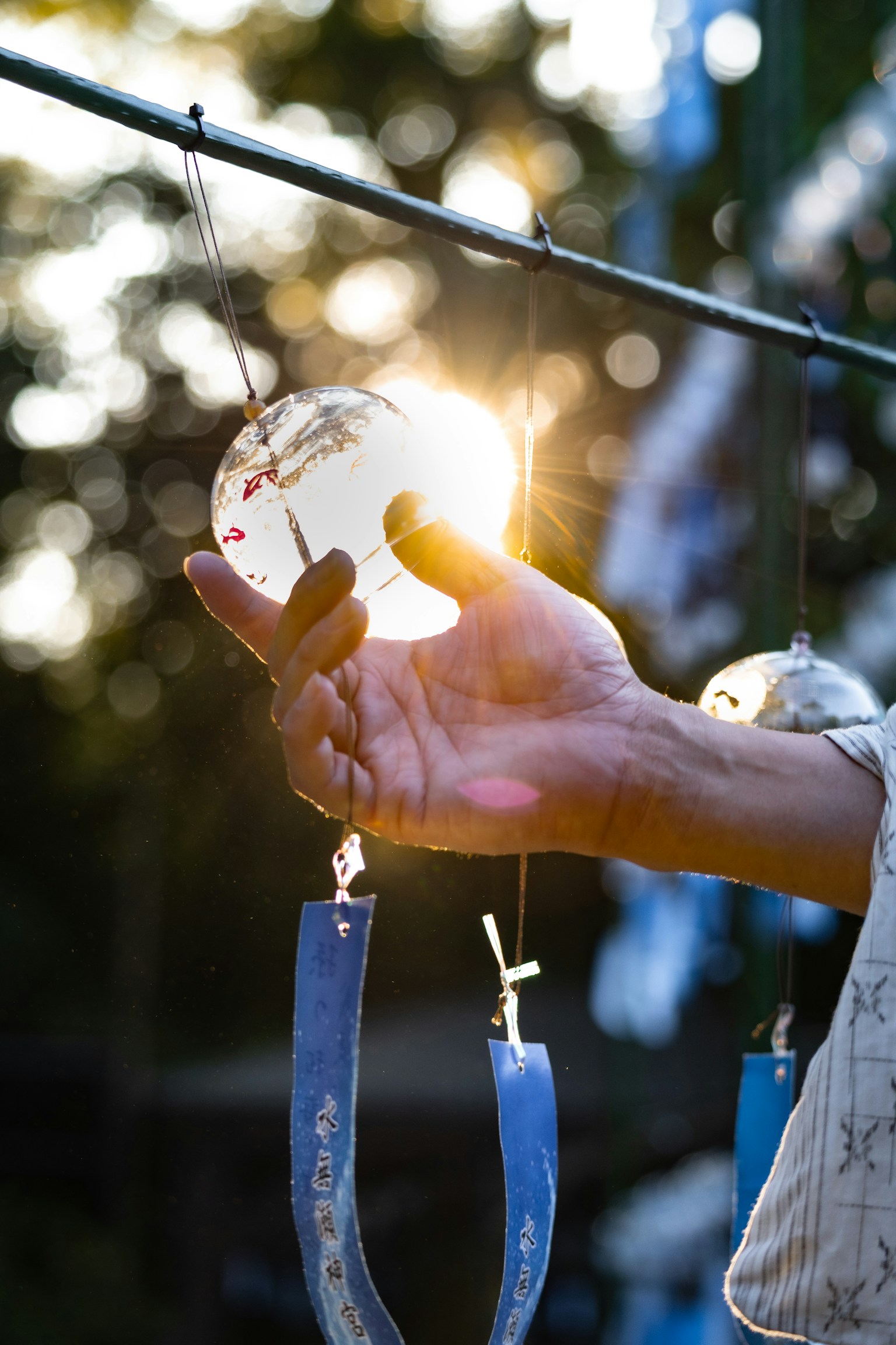 photo-MDNpCElqNmrf0wXSnkmT-image