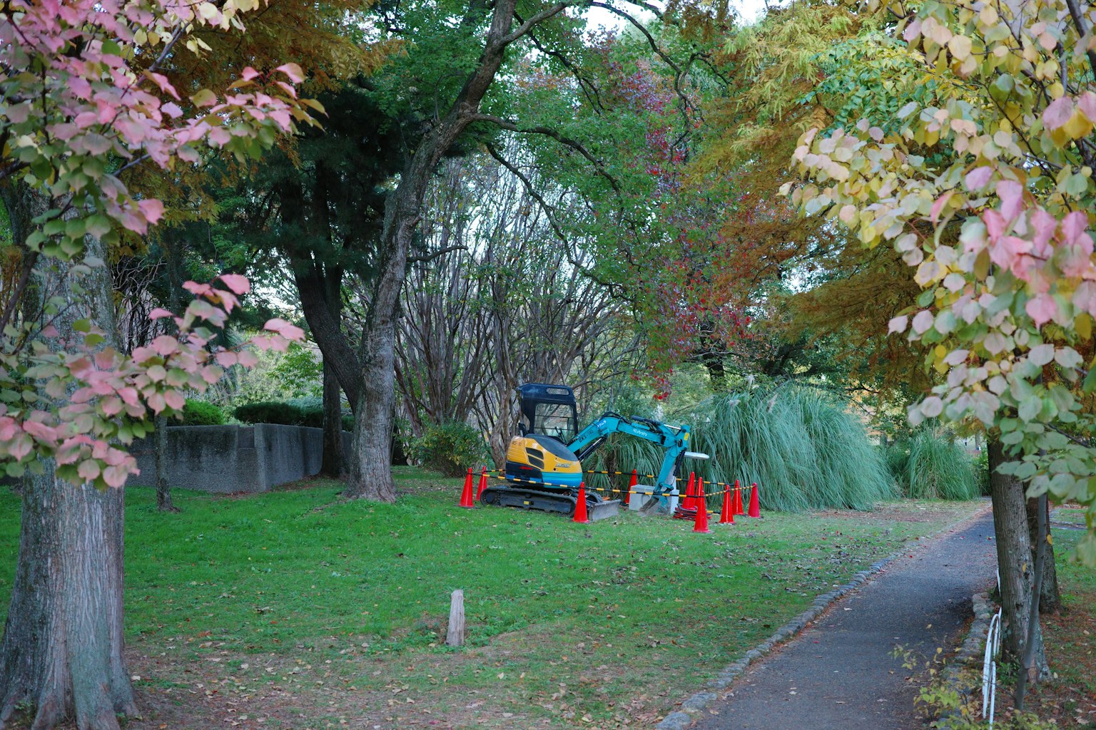 Bulldozer in un parco verde circondato da alberi colorati