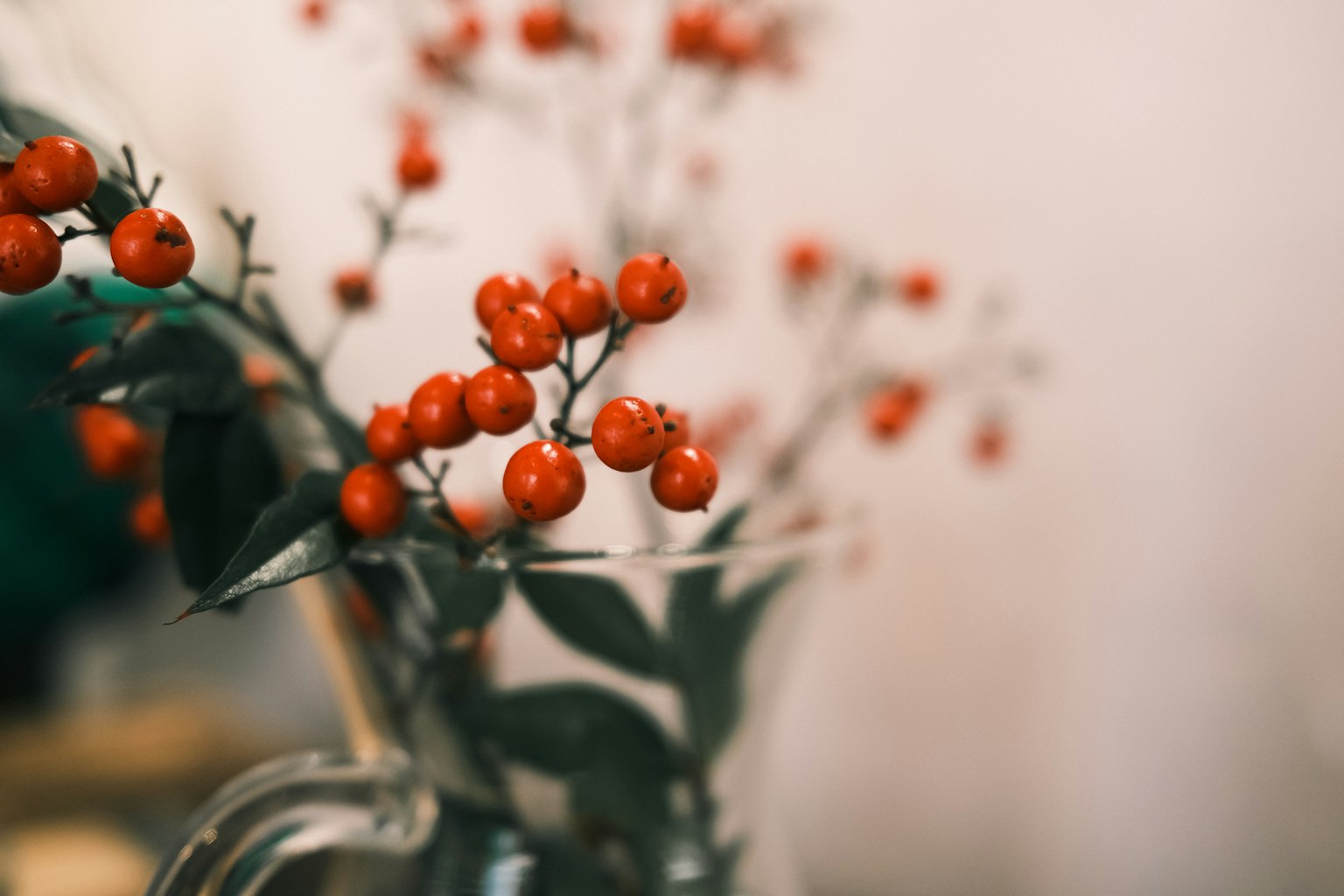 玻璃花瓶中的紅色漿果枝條