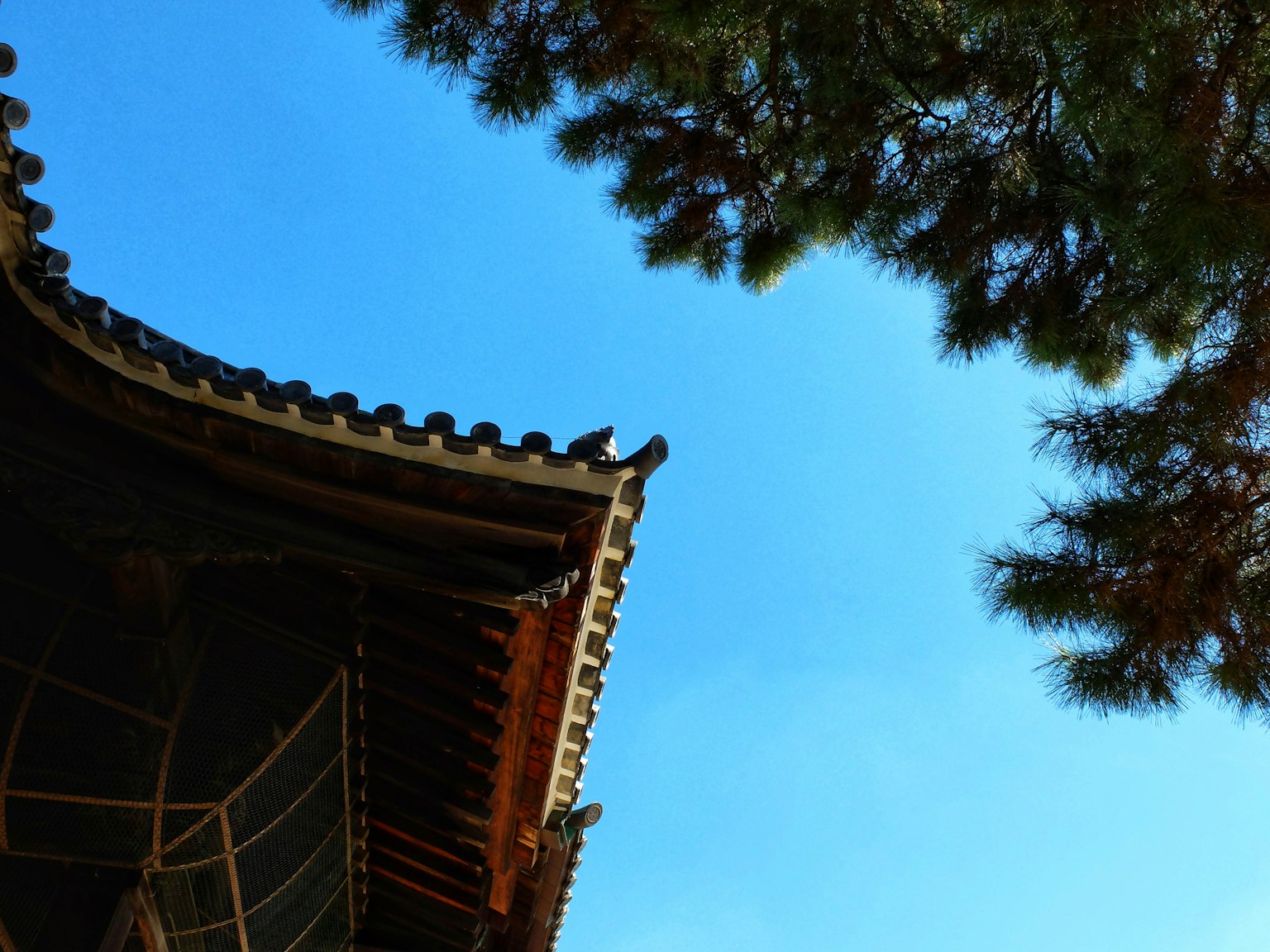 傳統建築屋頂與晴朗藍天的對比