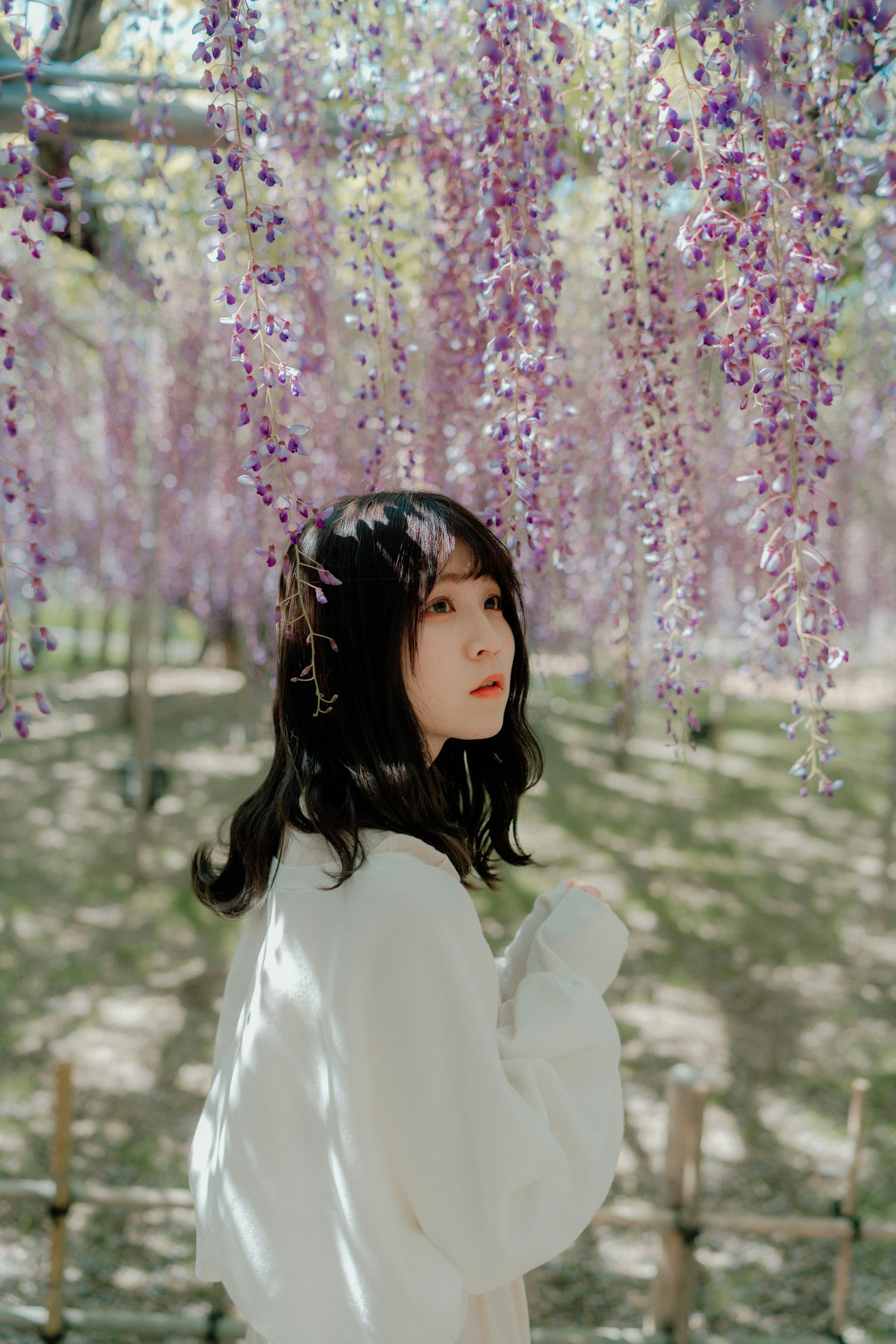 一位穿着白色毛衣的女性在盛开的紫色紫藤花中微笑