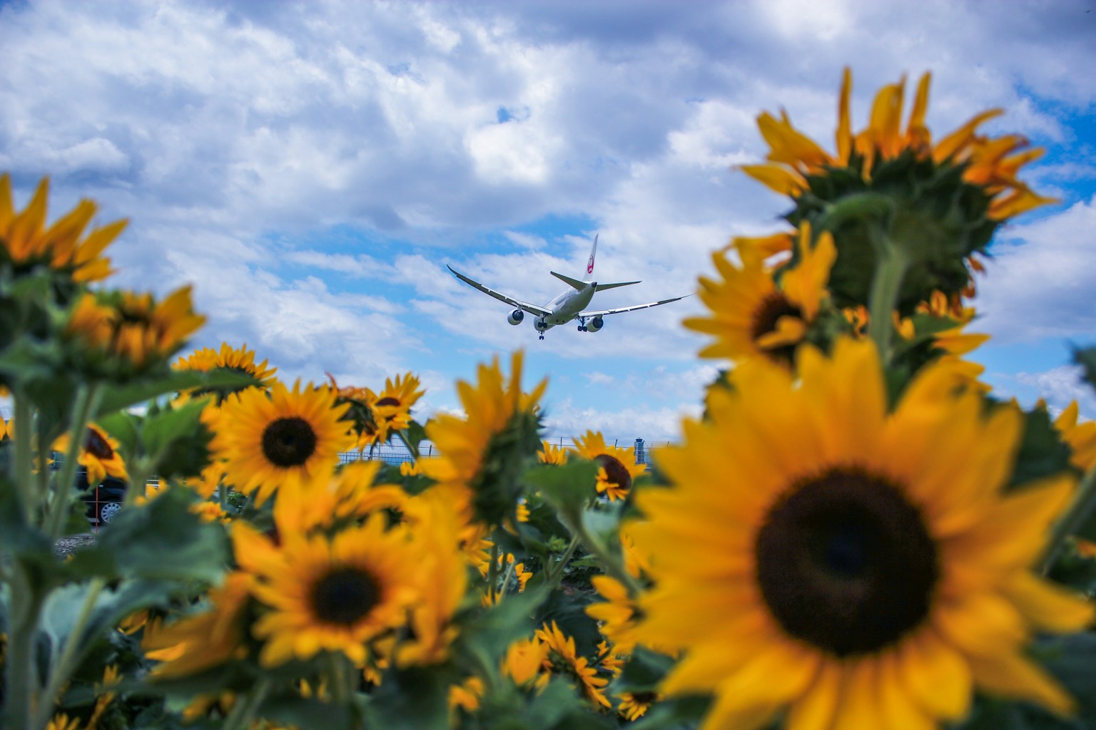 photo-MFaieRLX5WVymC9M7ZtG-image