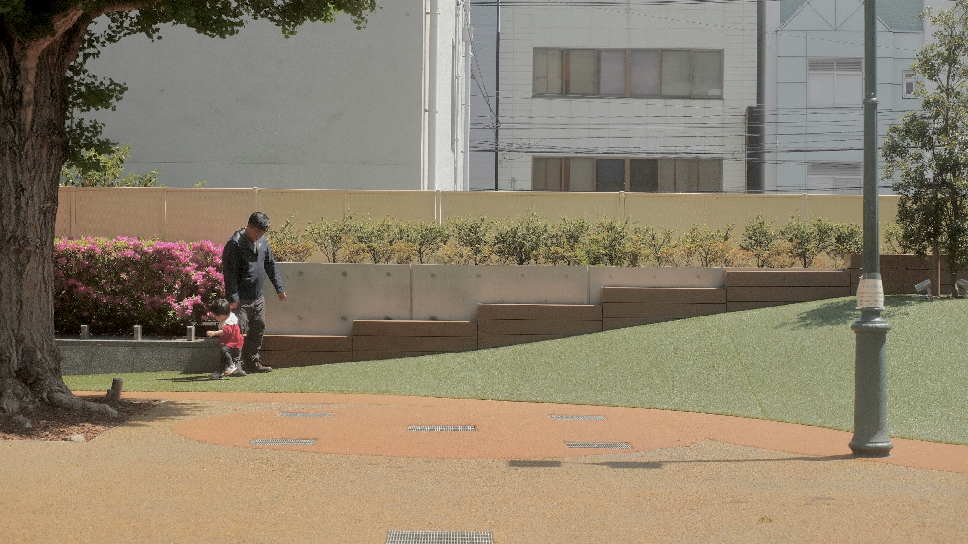 屋外のキャンパス通路を歩く人物と芝生のある景色