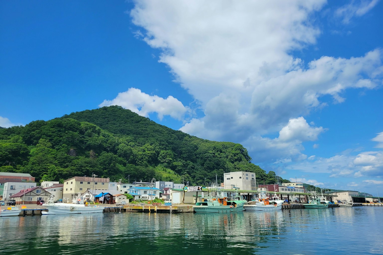 风景如画的港口小镇蓝天白云背景下的绿色山脉水边的五彩建筑
