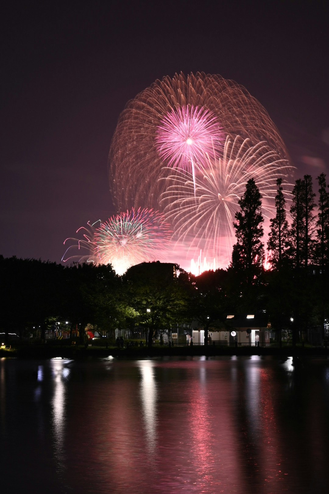 夜空に咲く花火と水面に映る光景
