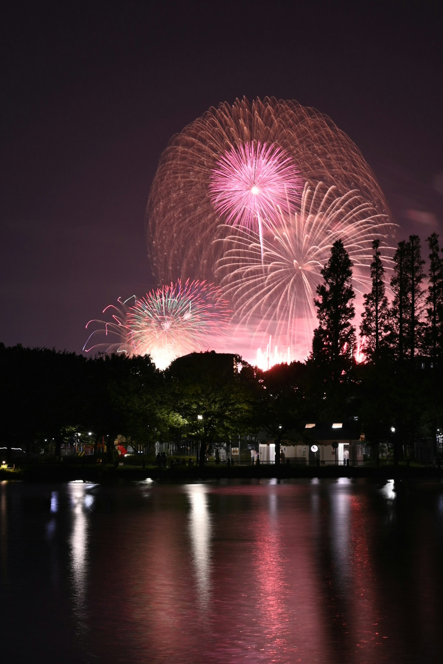 夜空中的烟花表演和水面的倒影